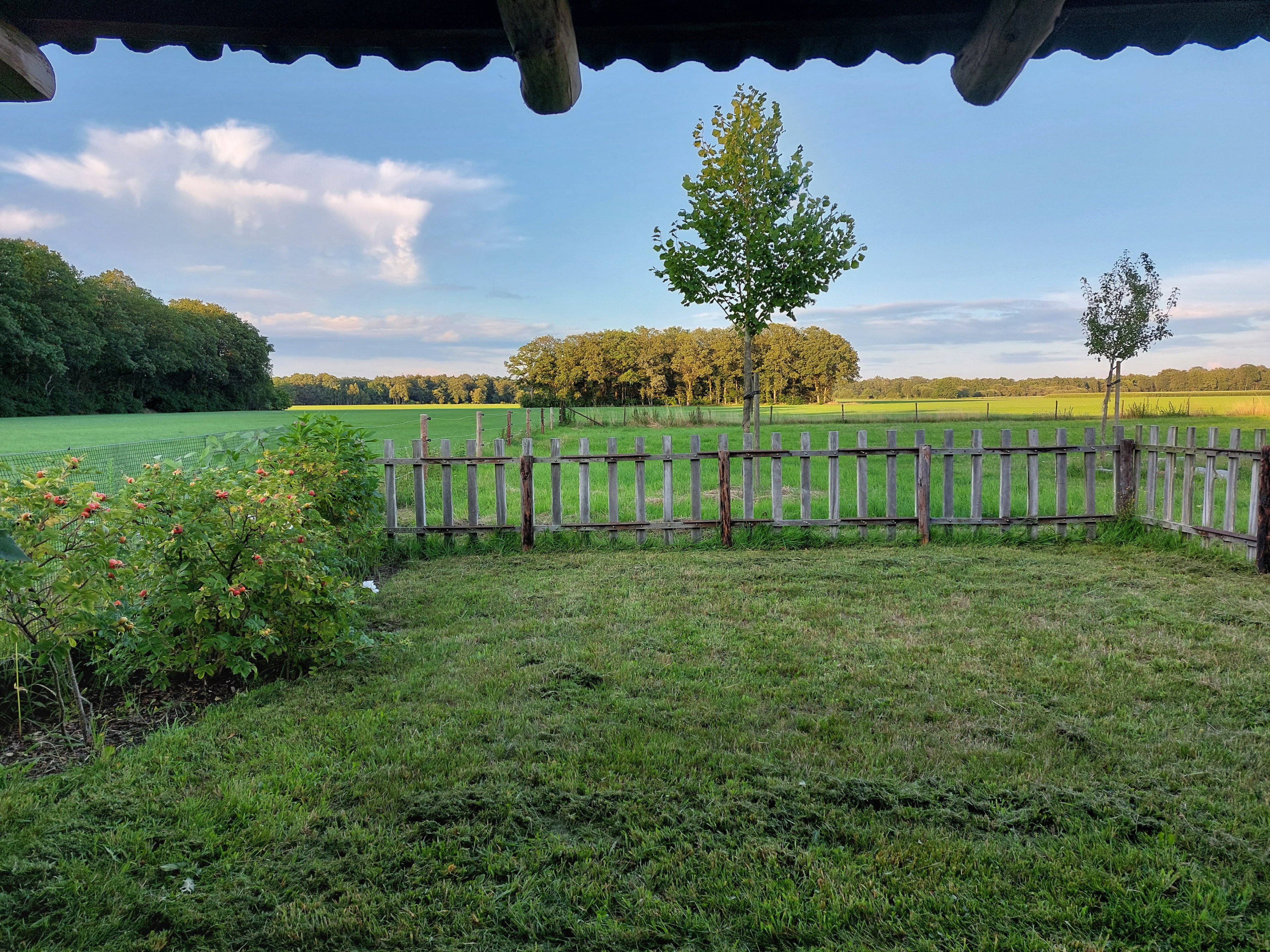 Natuurhuisje in Buurse