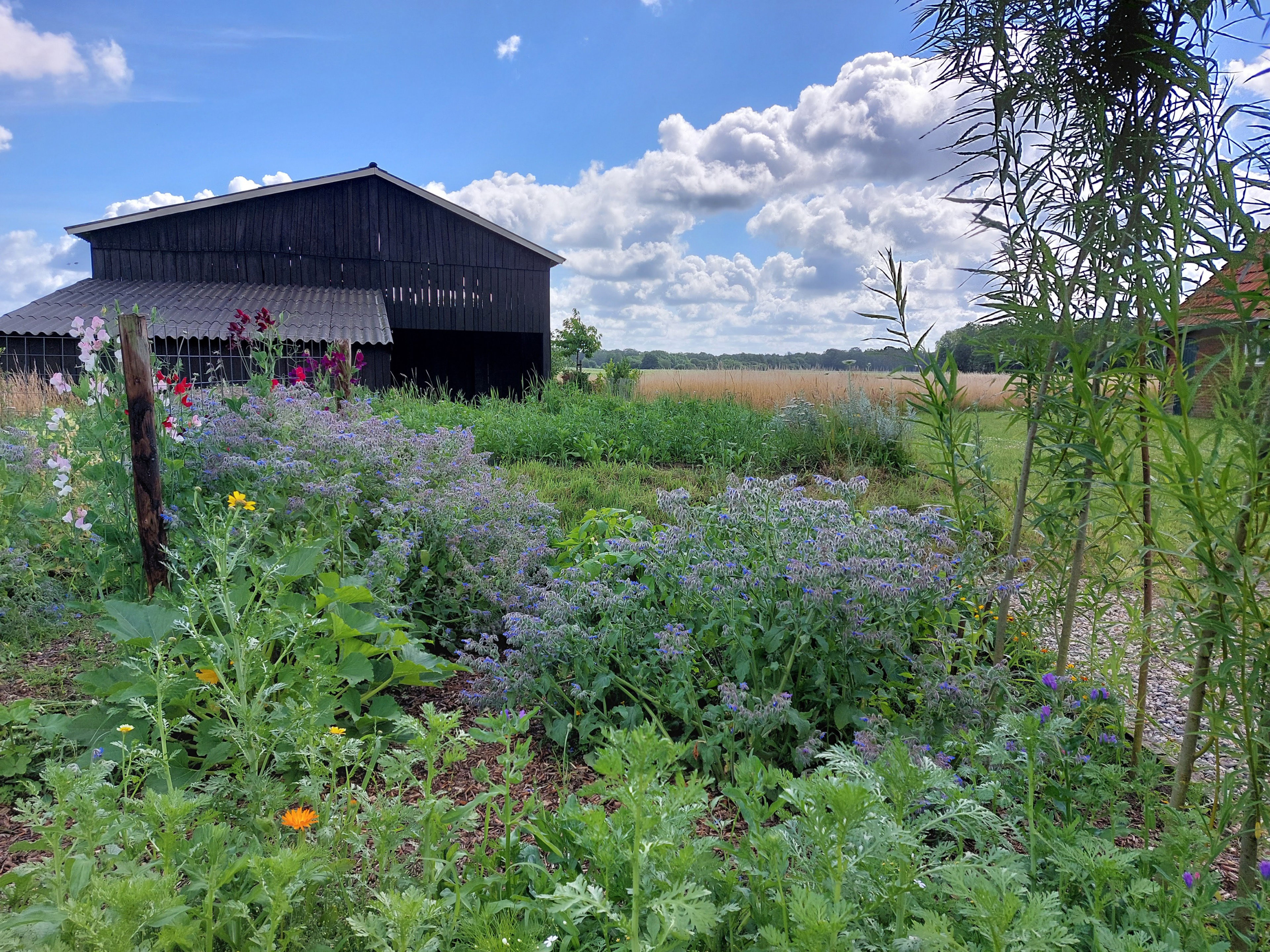 Natuurhuisje in Buurse