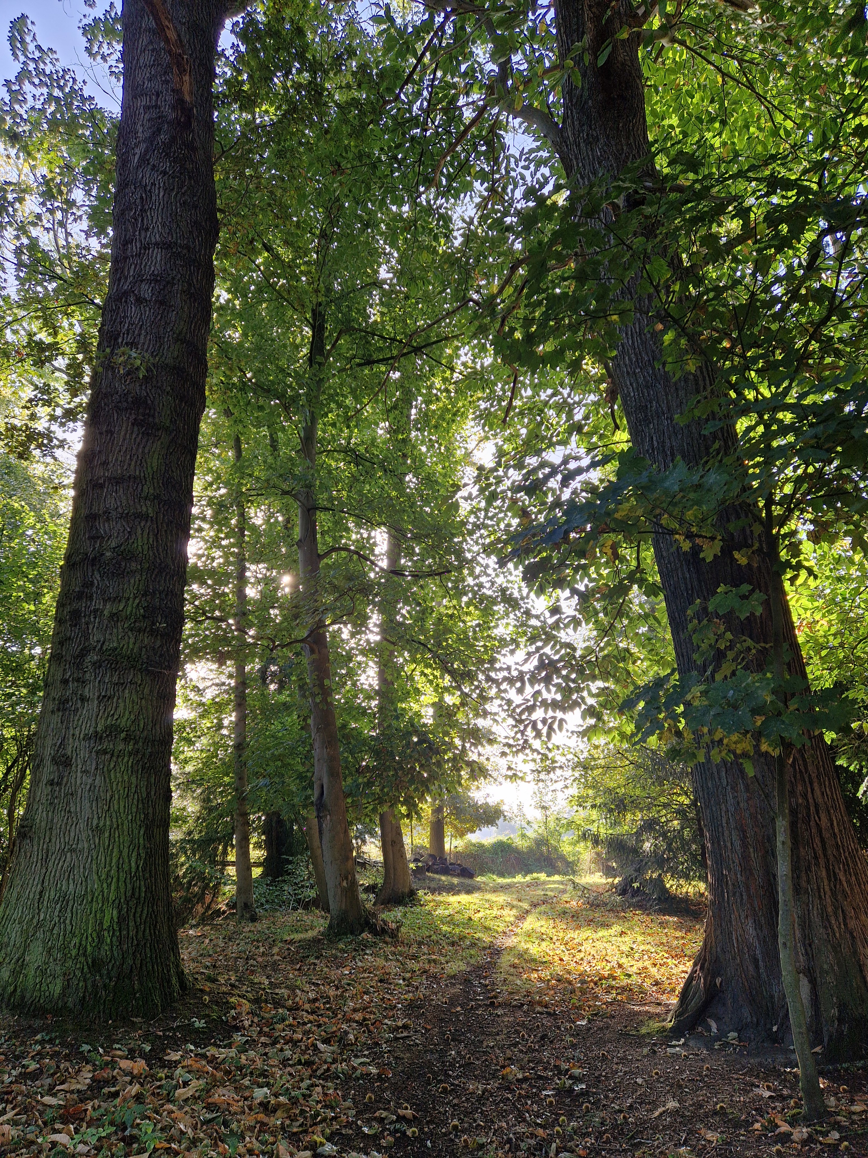 Natuurhuisje in Hornaing