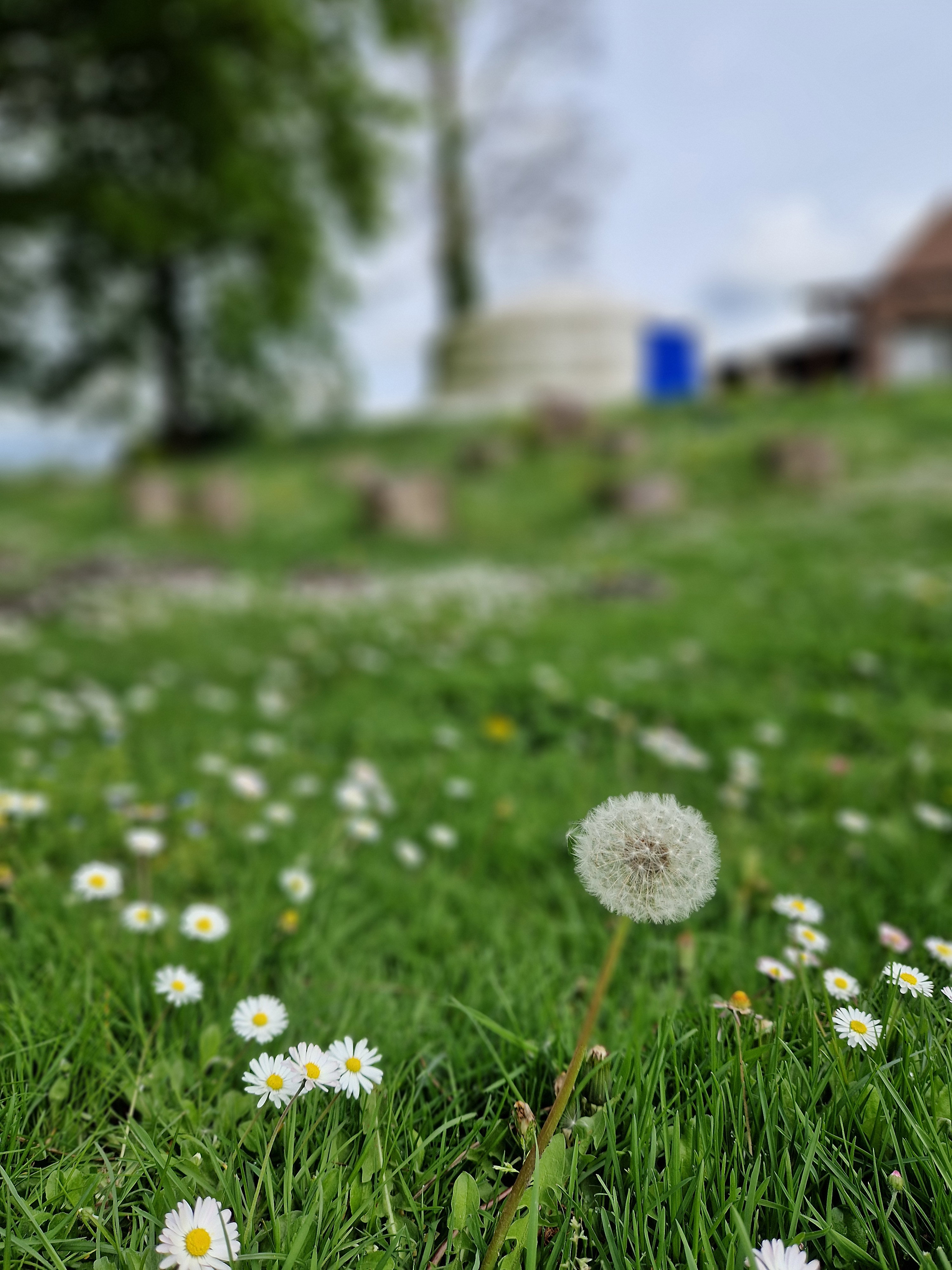 Natuurhuisje in Hornaing