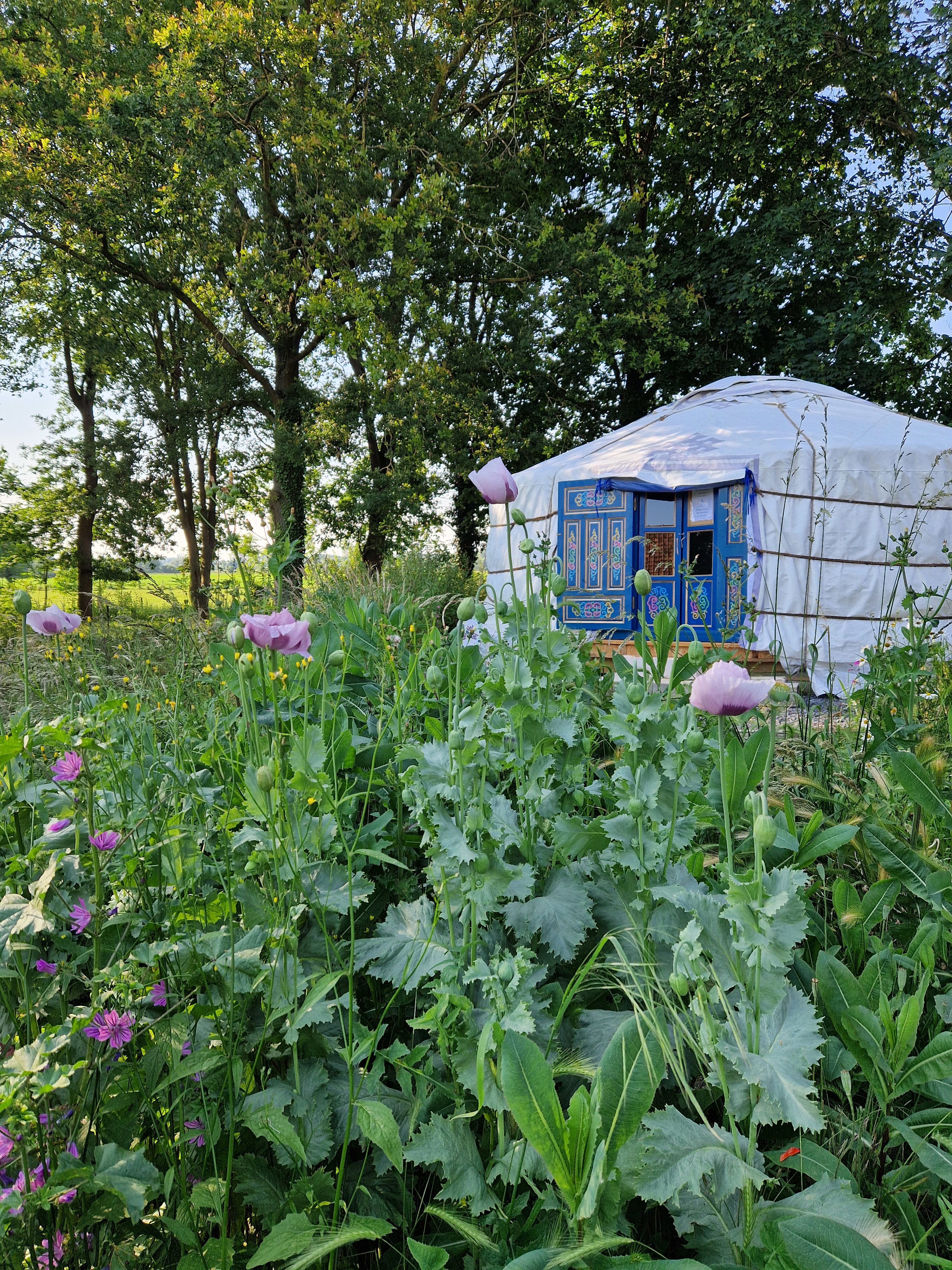 Natuurhuisje in Hornaing