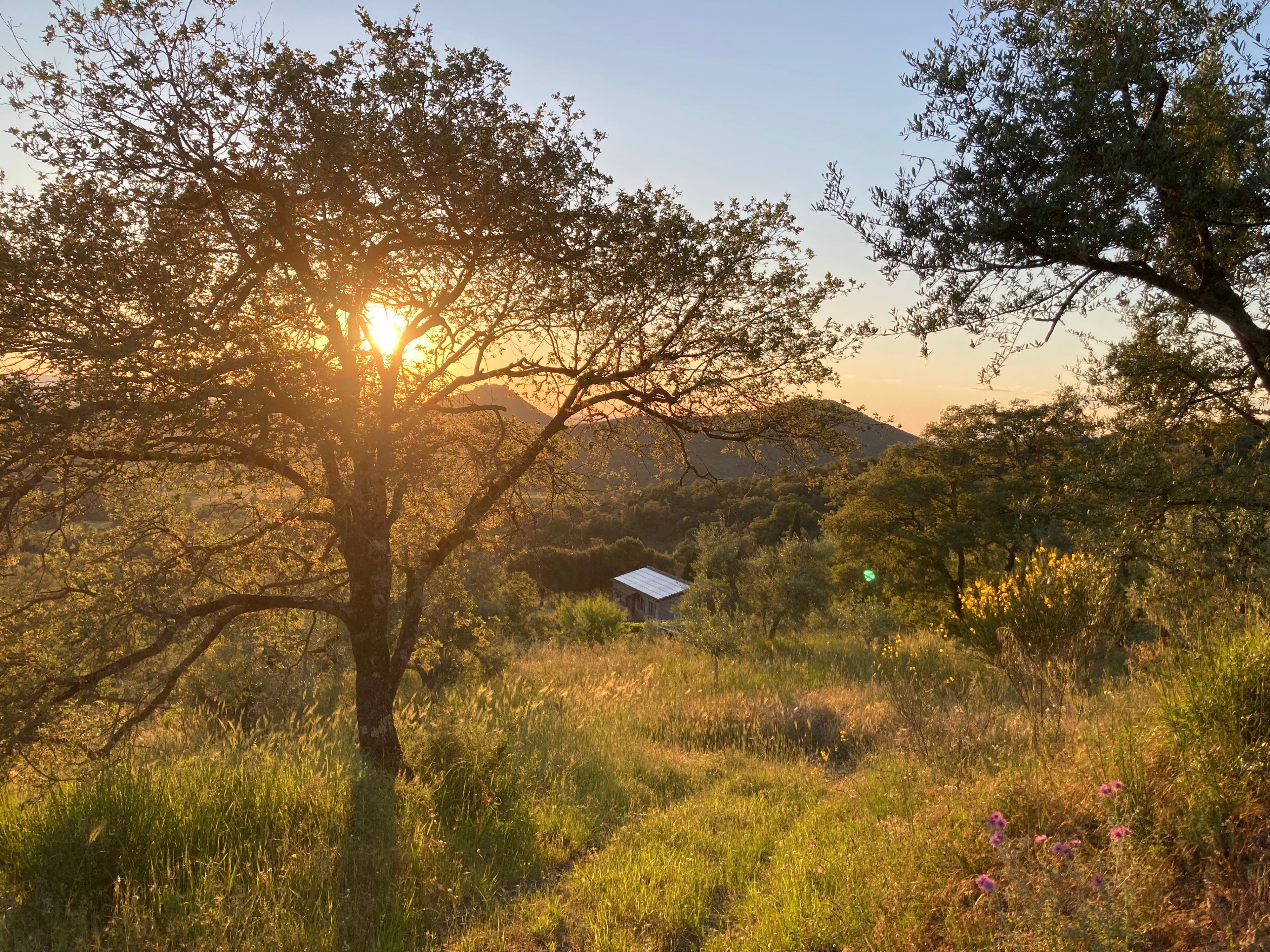 Nature house in Panicale, Loc. Casalini
