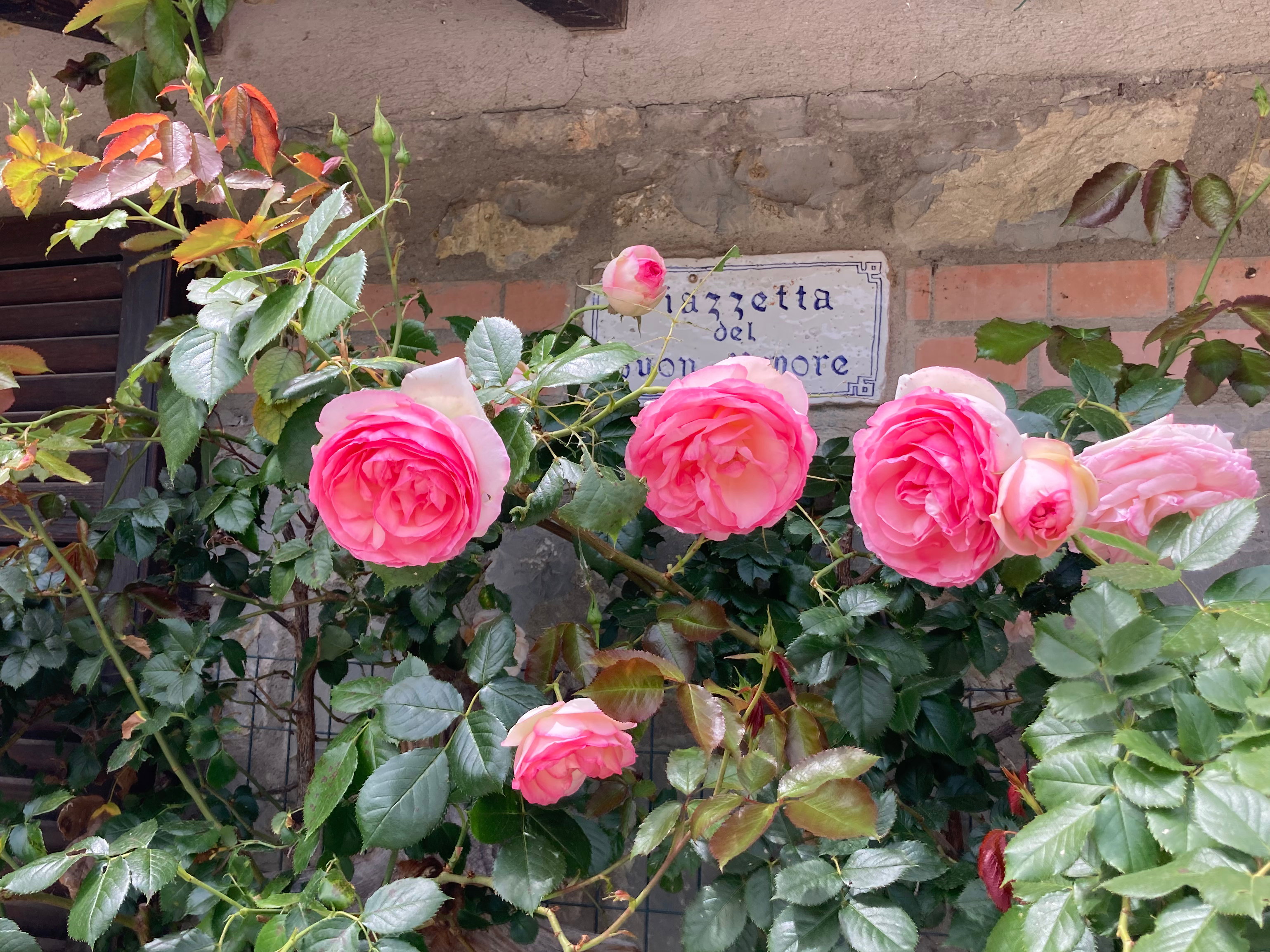 Nature house in Panicale, Loc. Casalini