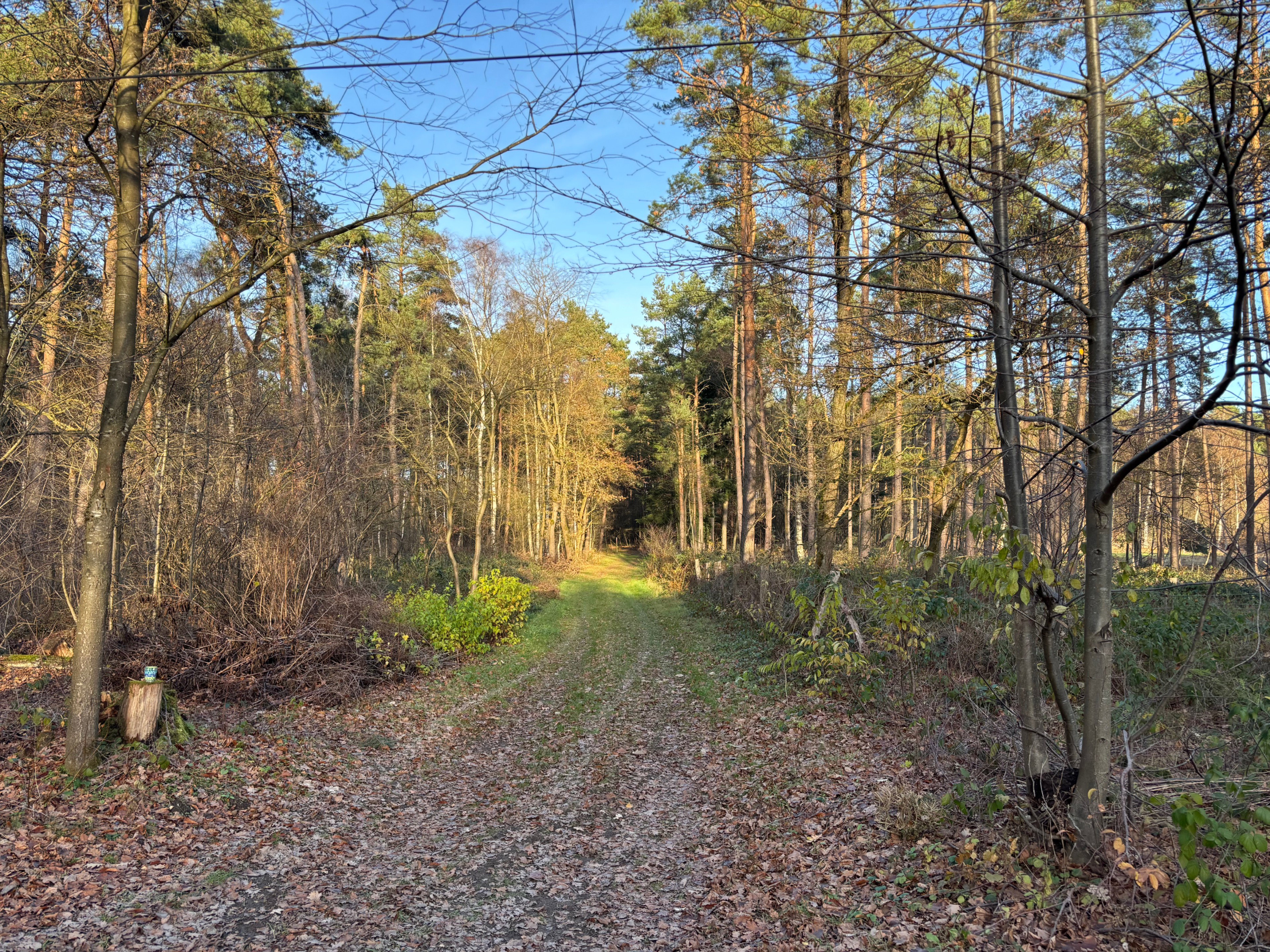 Natuurhuisje in Neustadt am Rübenberge