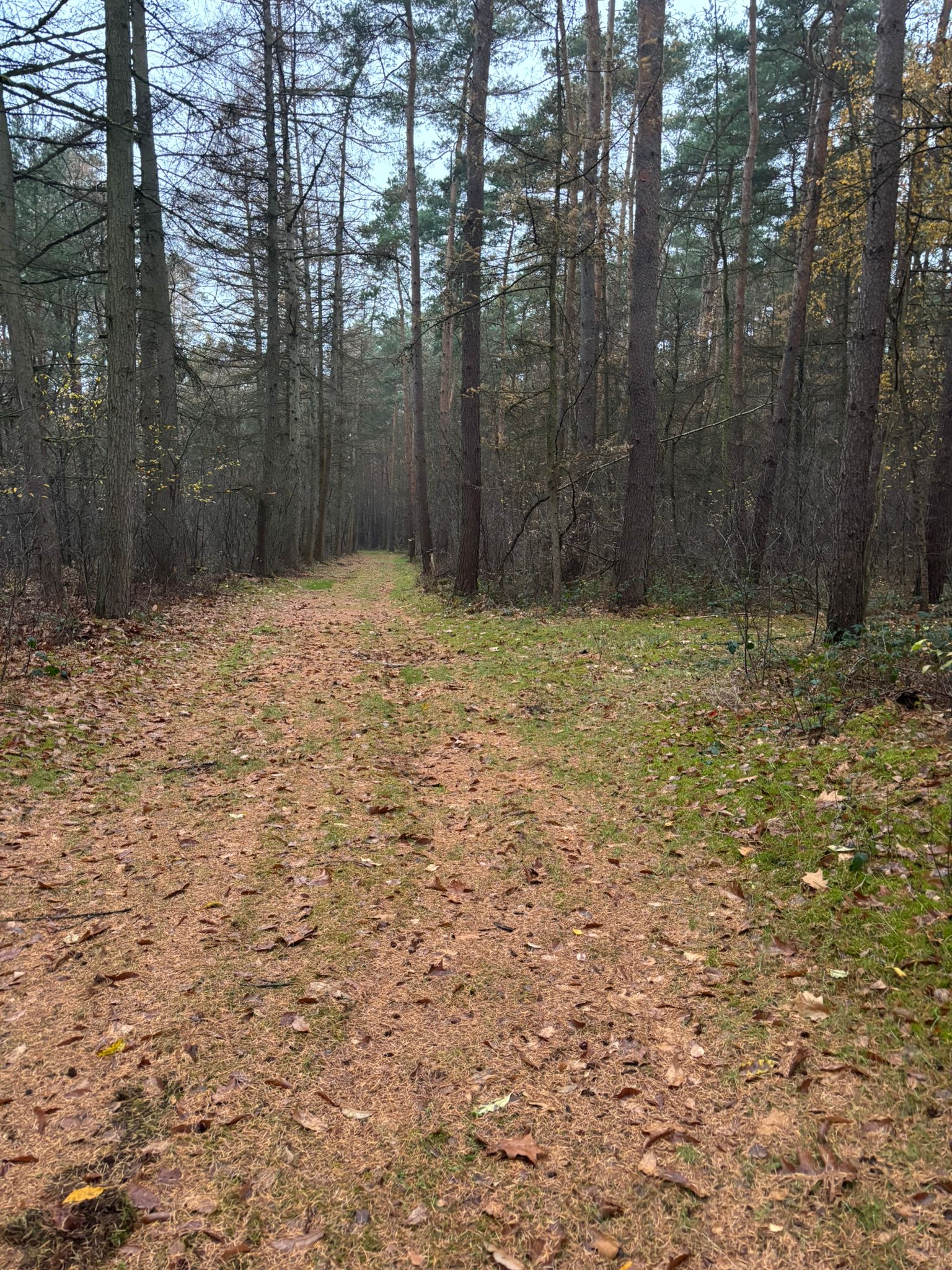 Natuurhuisje in Neustadt am Rübenberge