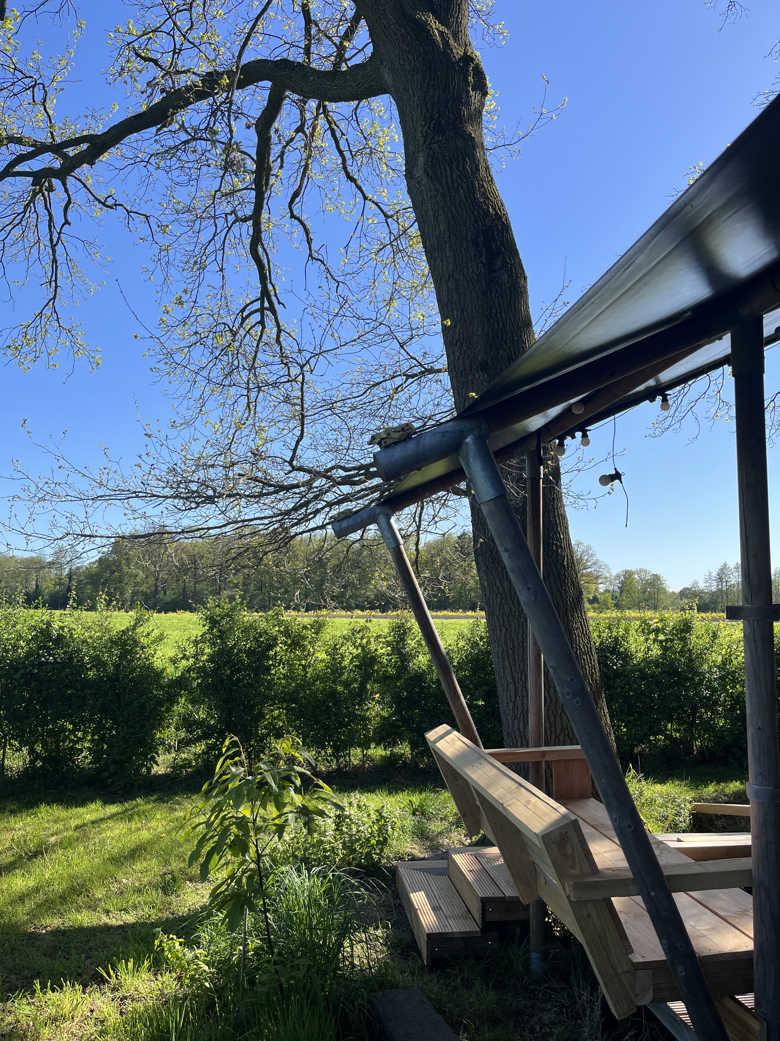Nature house in Winterswijk - Meddo