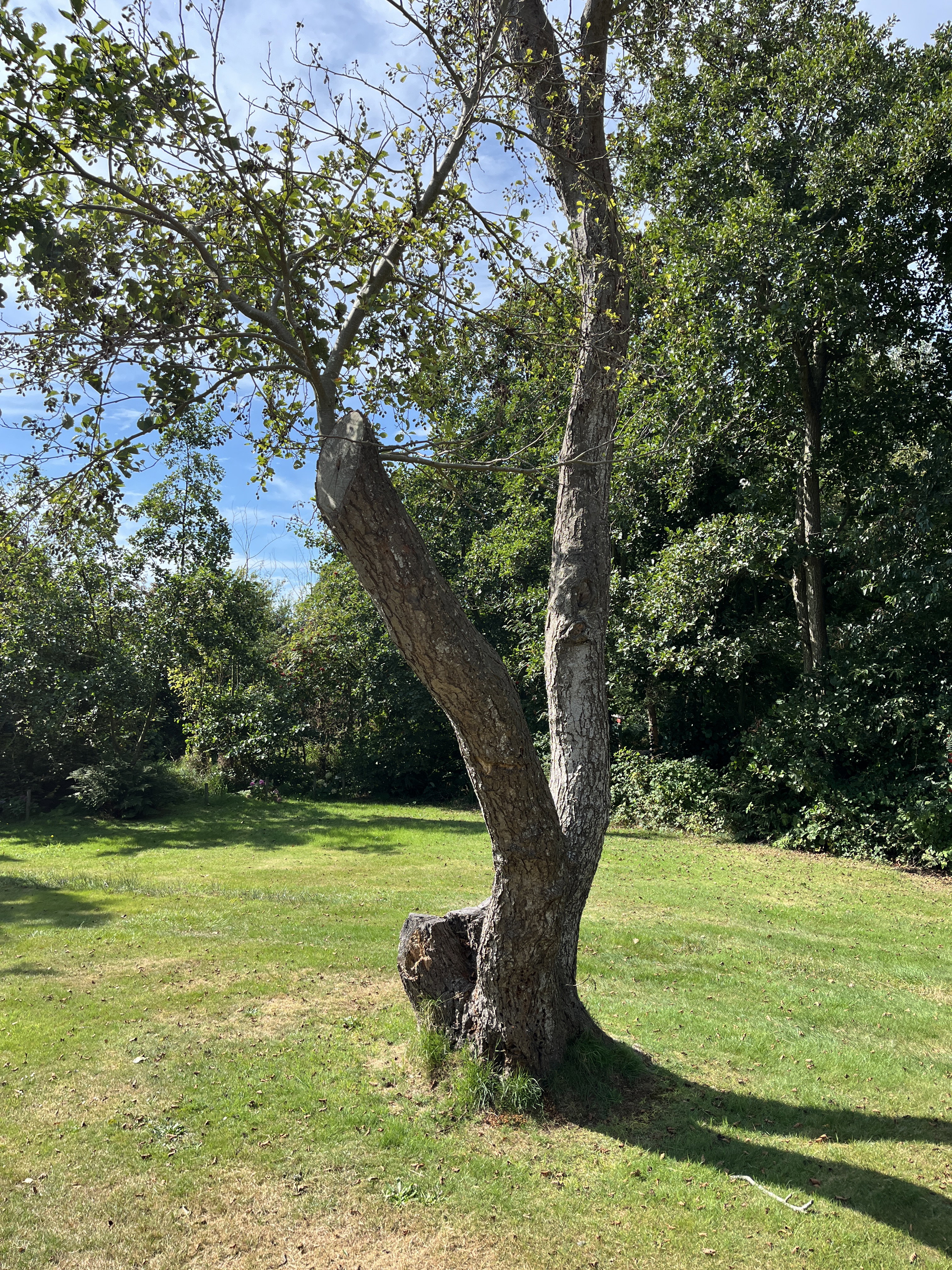 Natuurhuisje in Midsland Noord