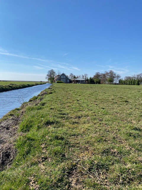 Nature house in Uitdam