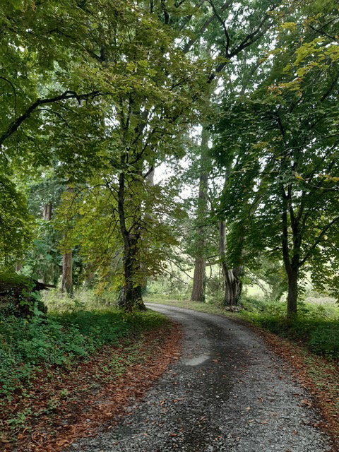 Nature house in Cuzy