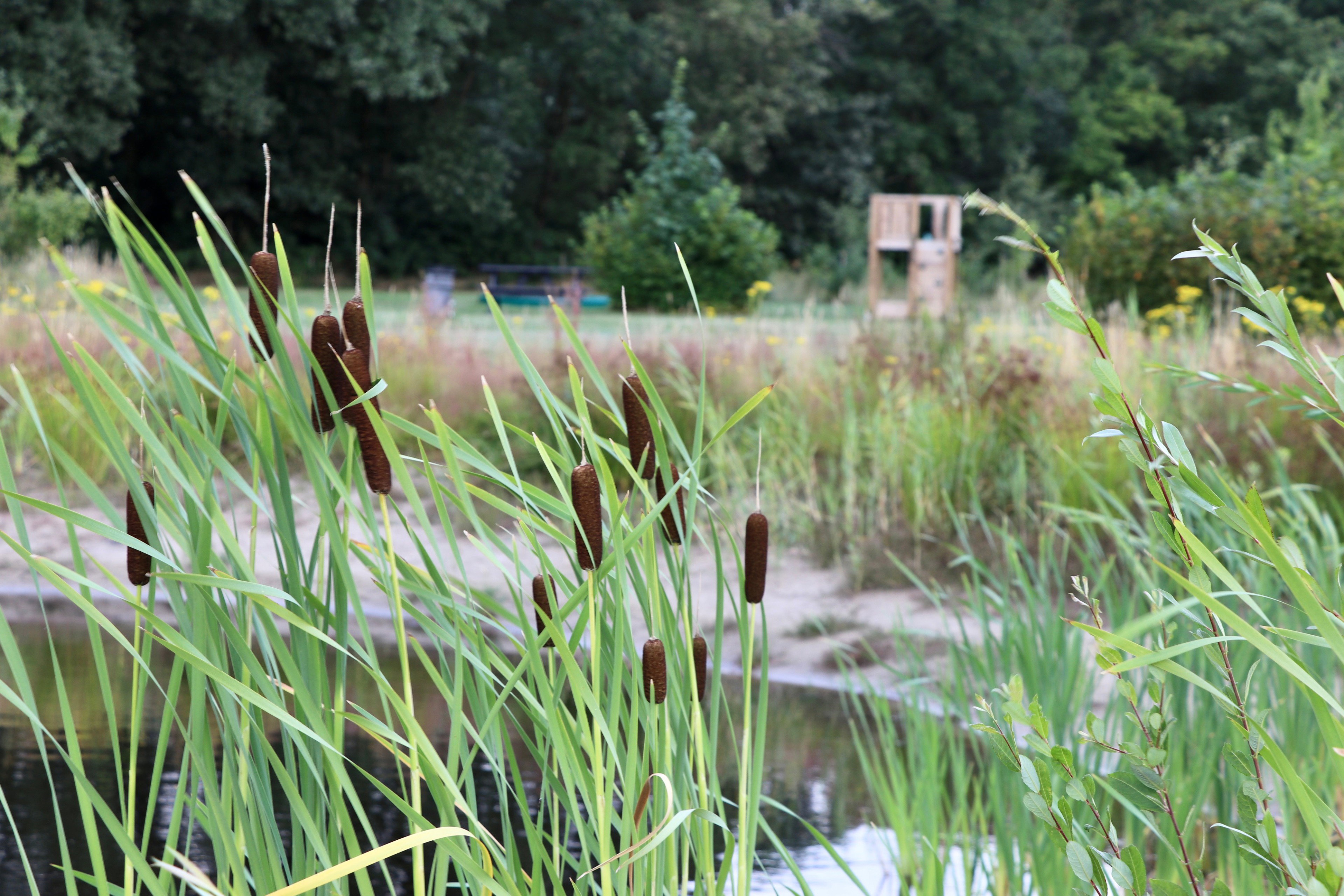 Natuurhuisje in Rucphen