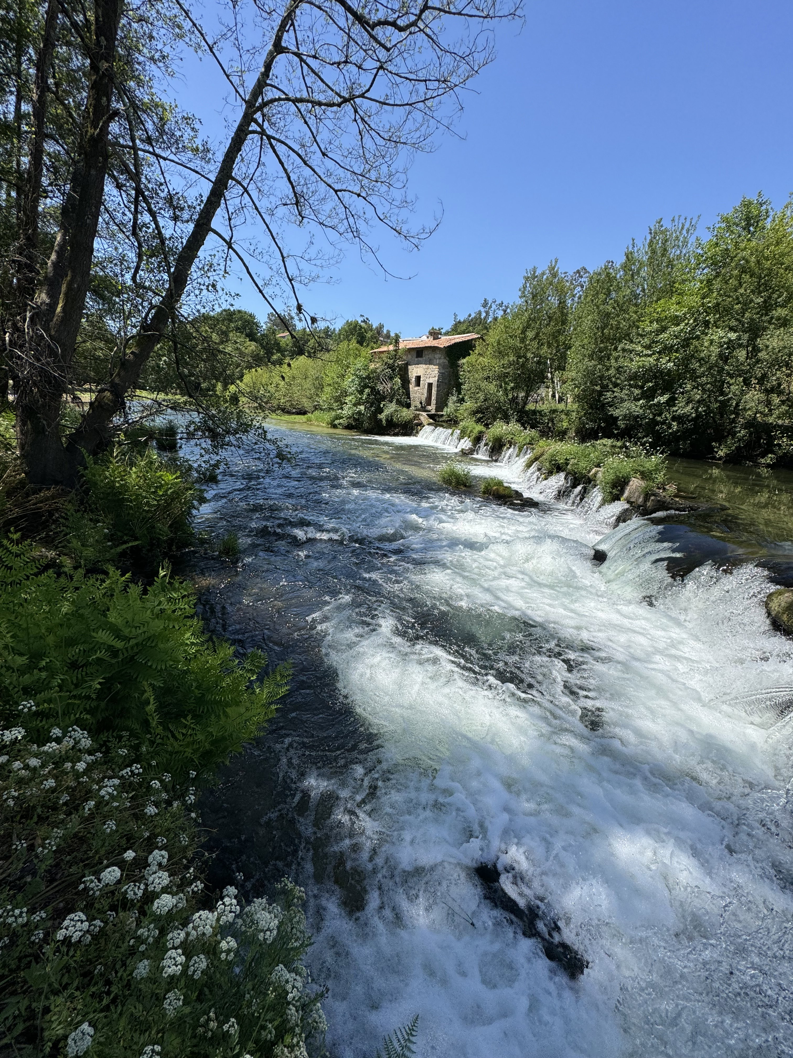 Maison nature à Amares