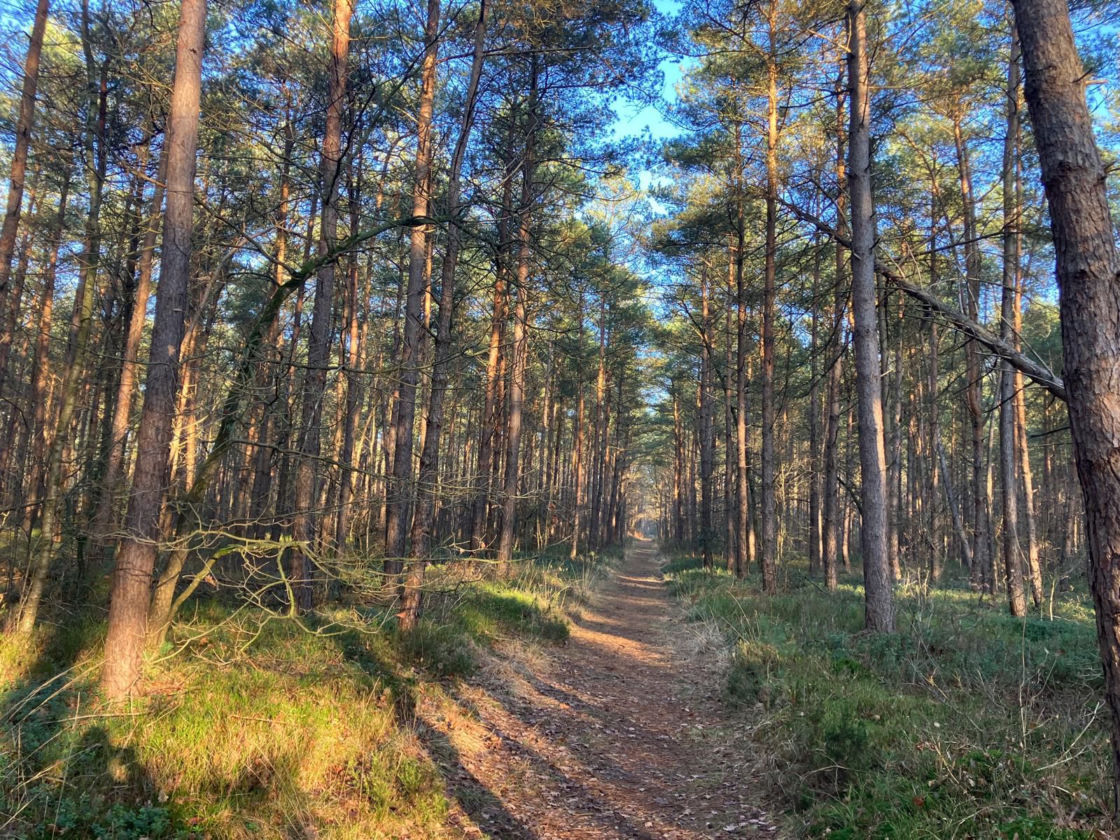 Natuurhuisje in Uddel