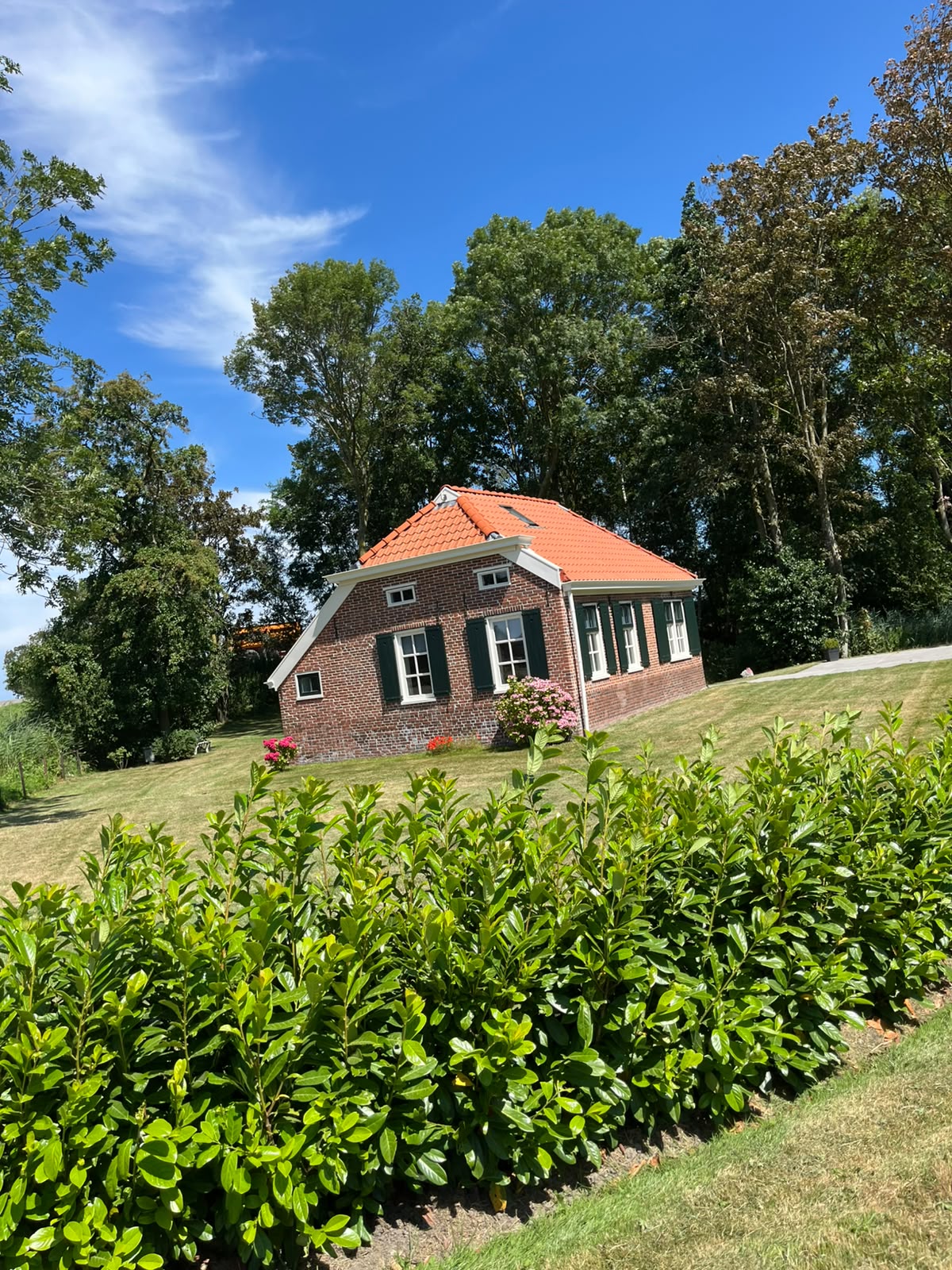 Natuurhuisje in Westernieland
