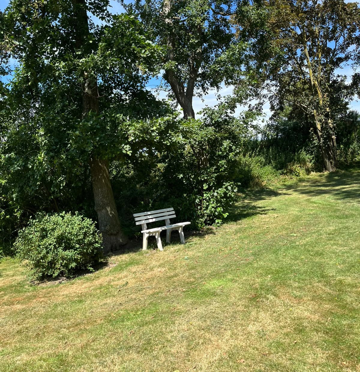 Natuurhuisje in Westernieland