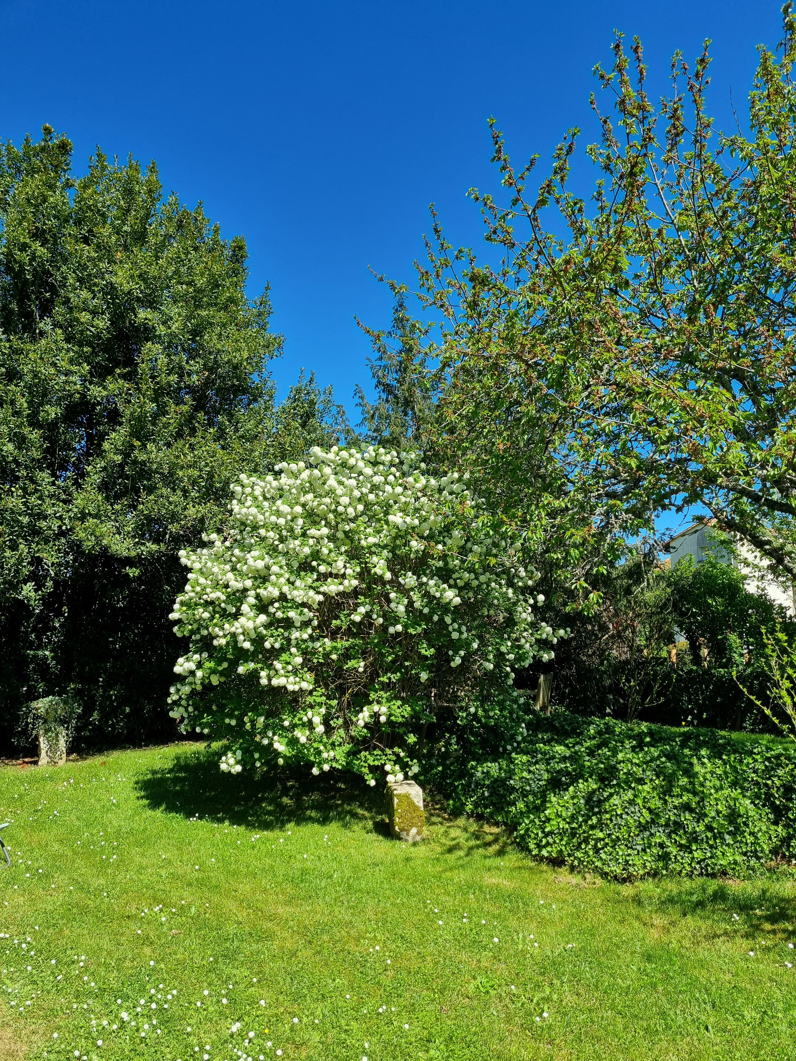 - image: 24