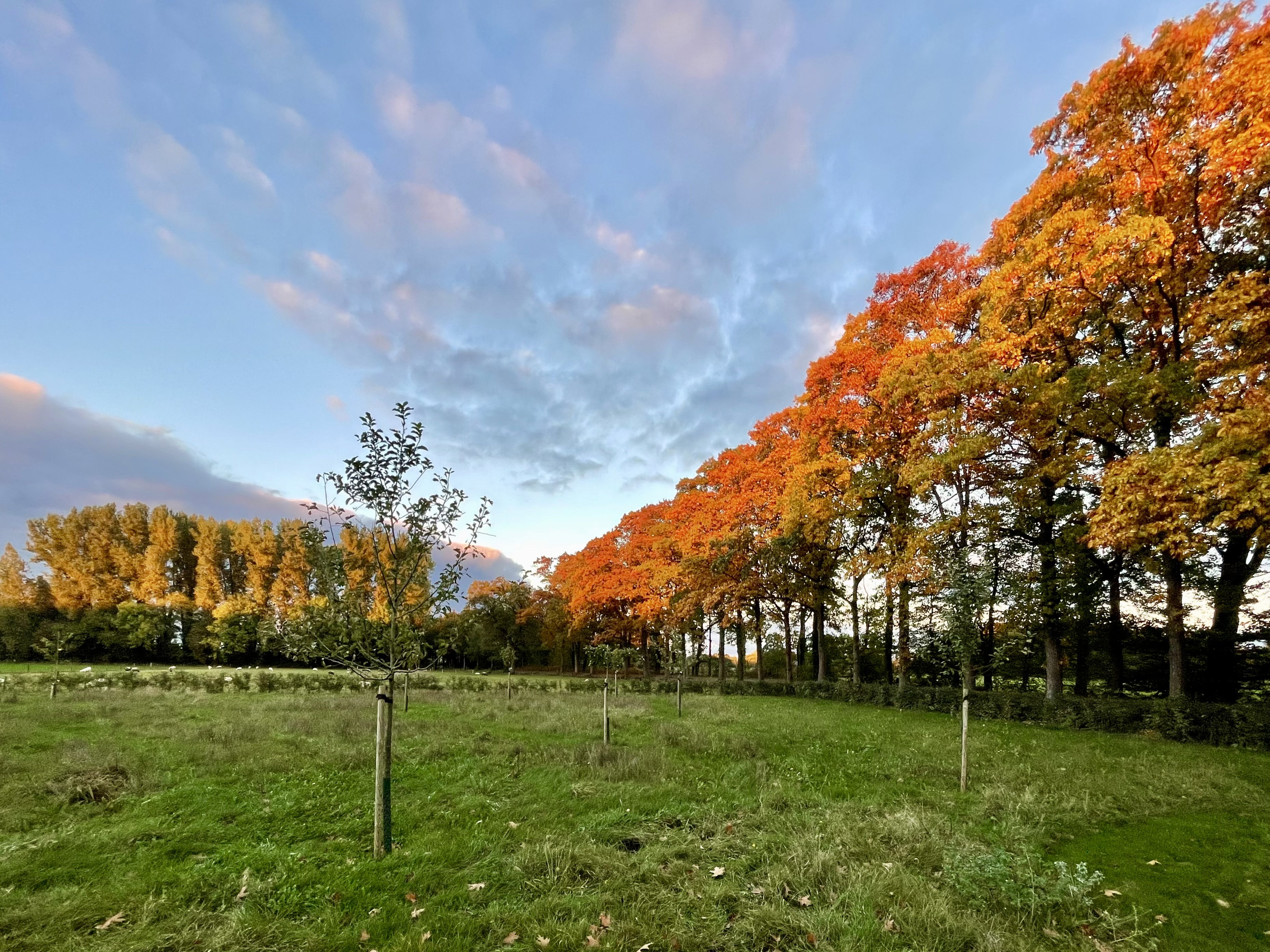 Nature house in Vorden