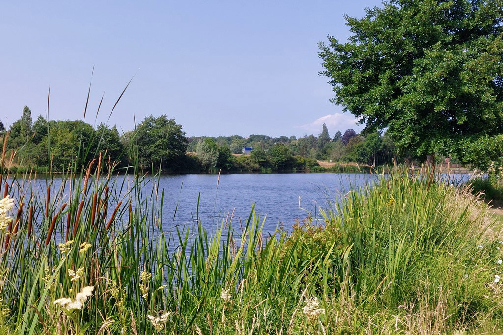 - image: 26