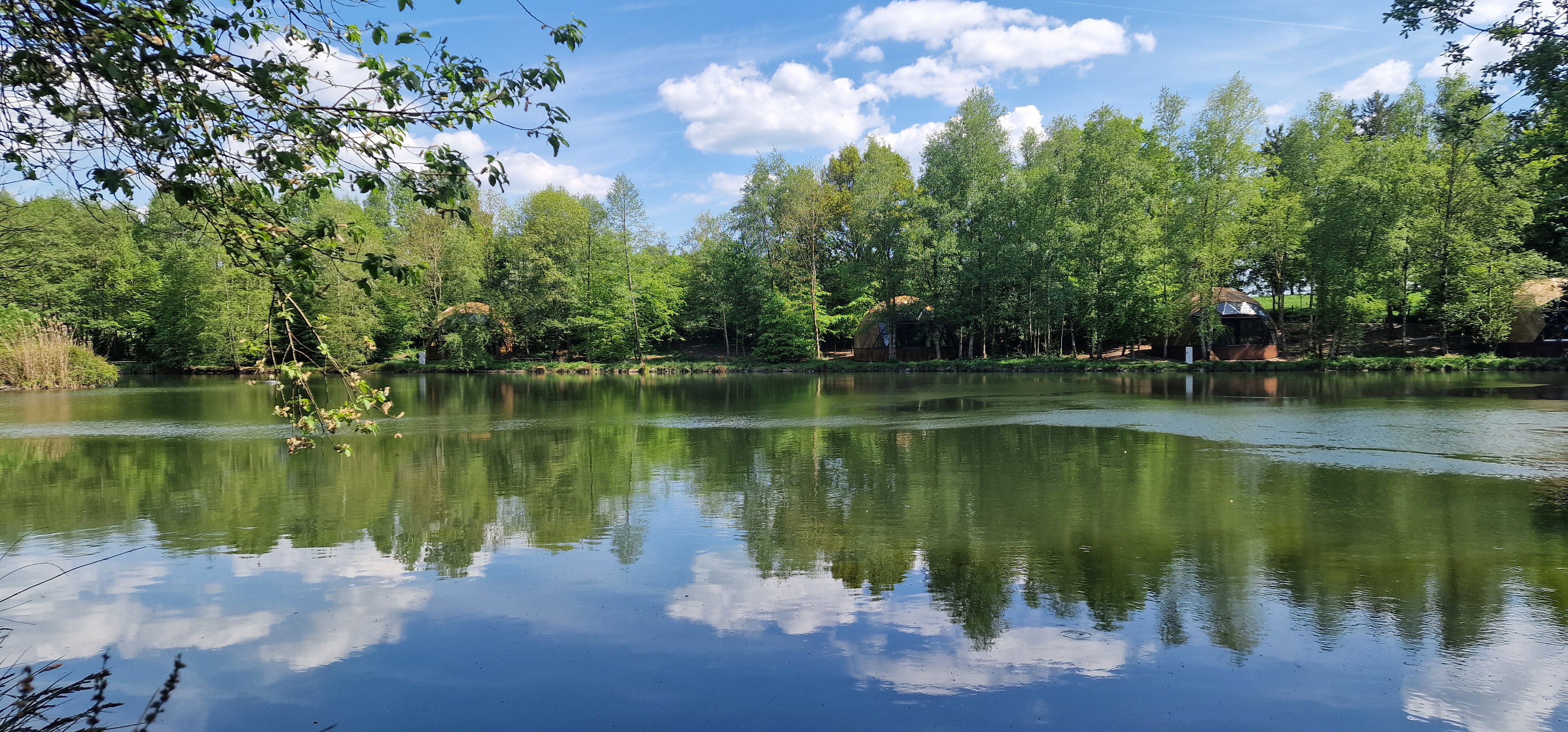 - image: 16
