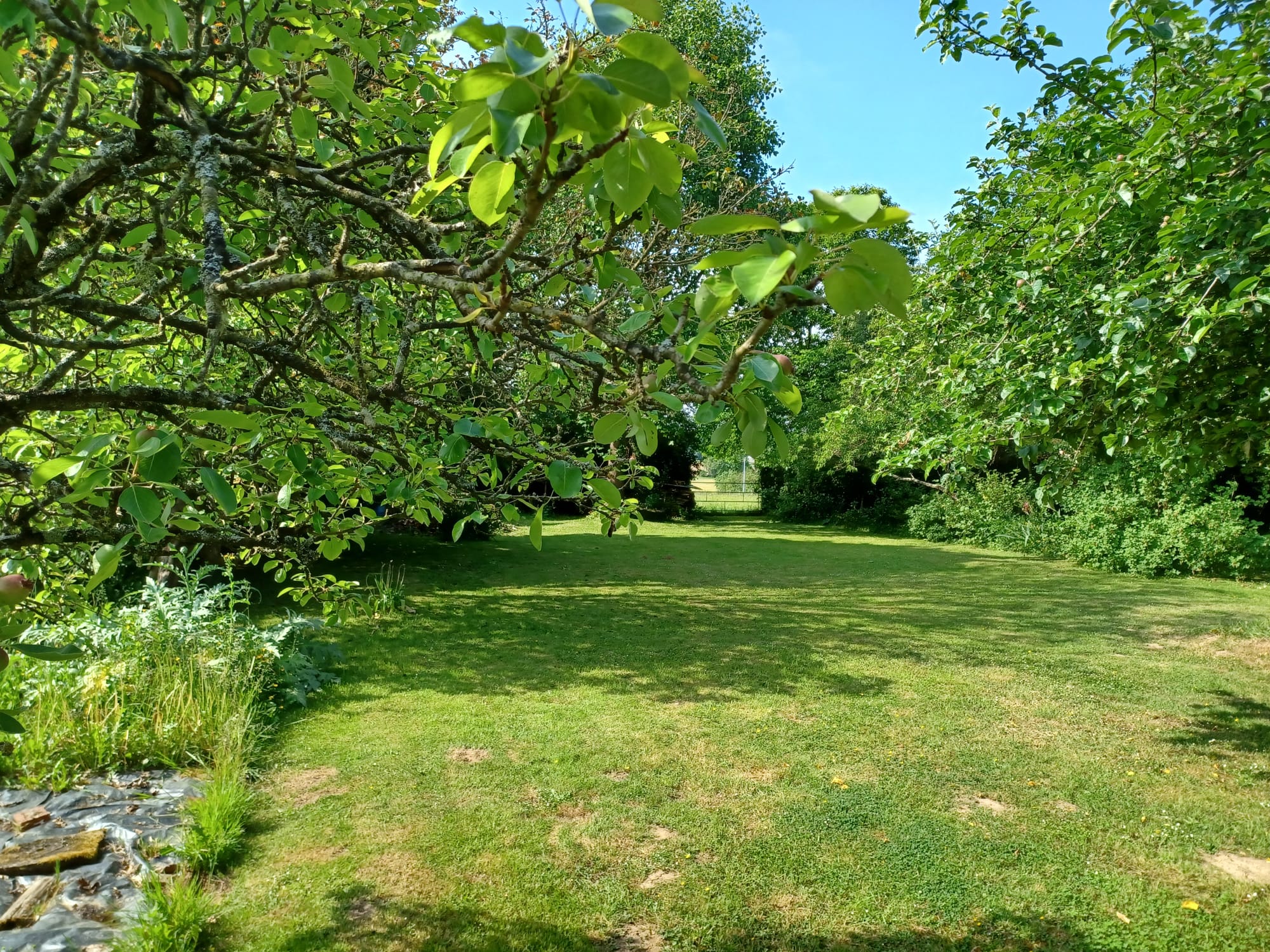 Nature house in Saint Denis de Villenette