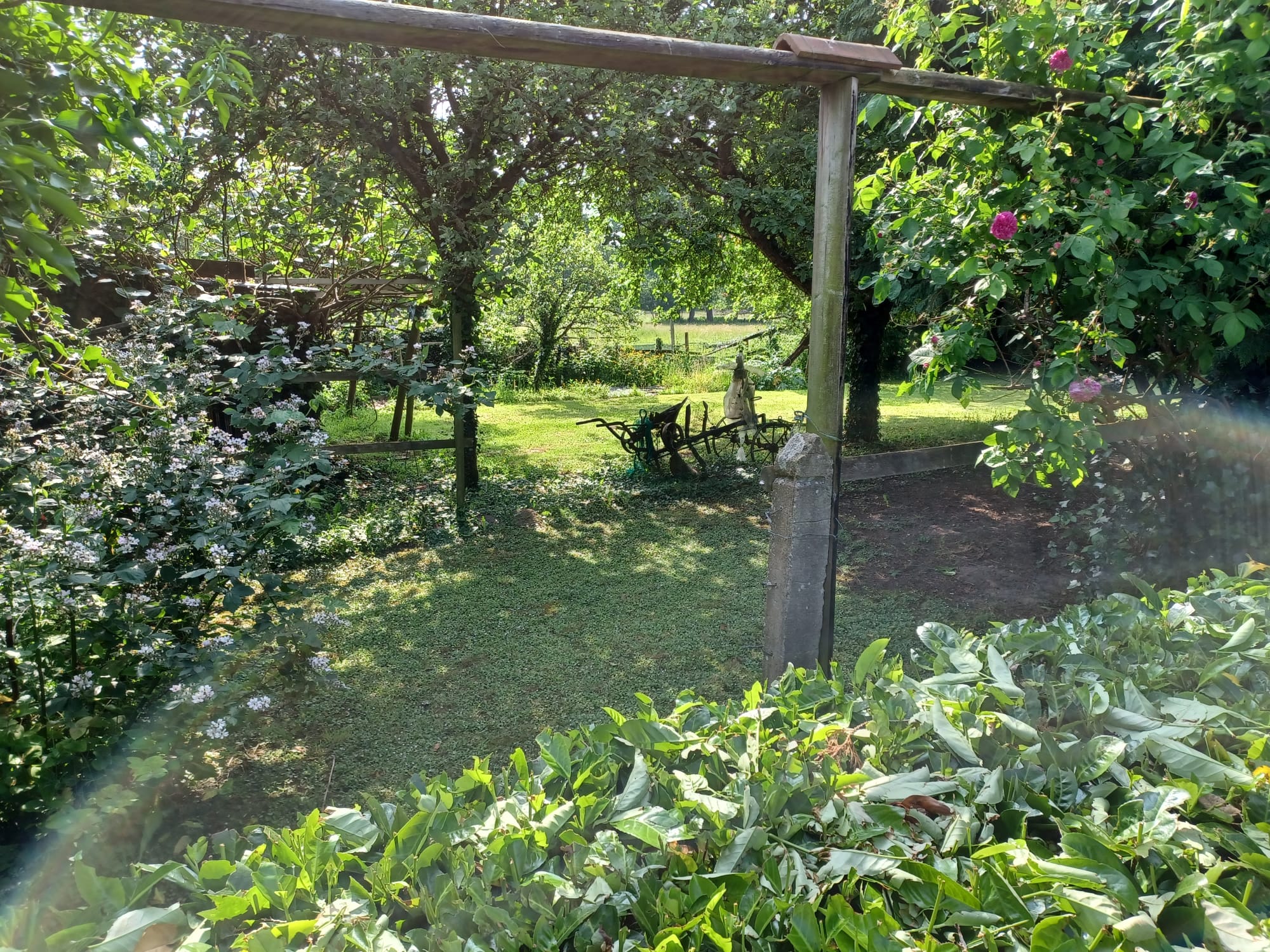 Nature house in Saint Denis de Villenette