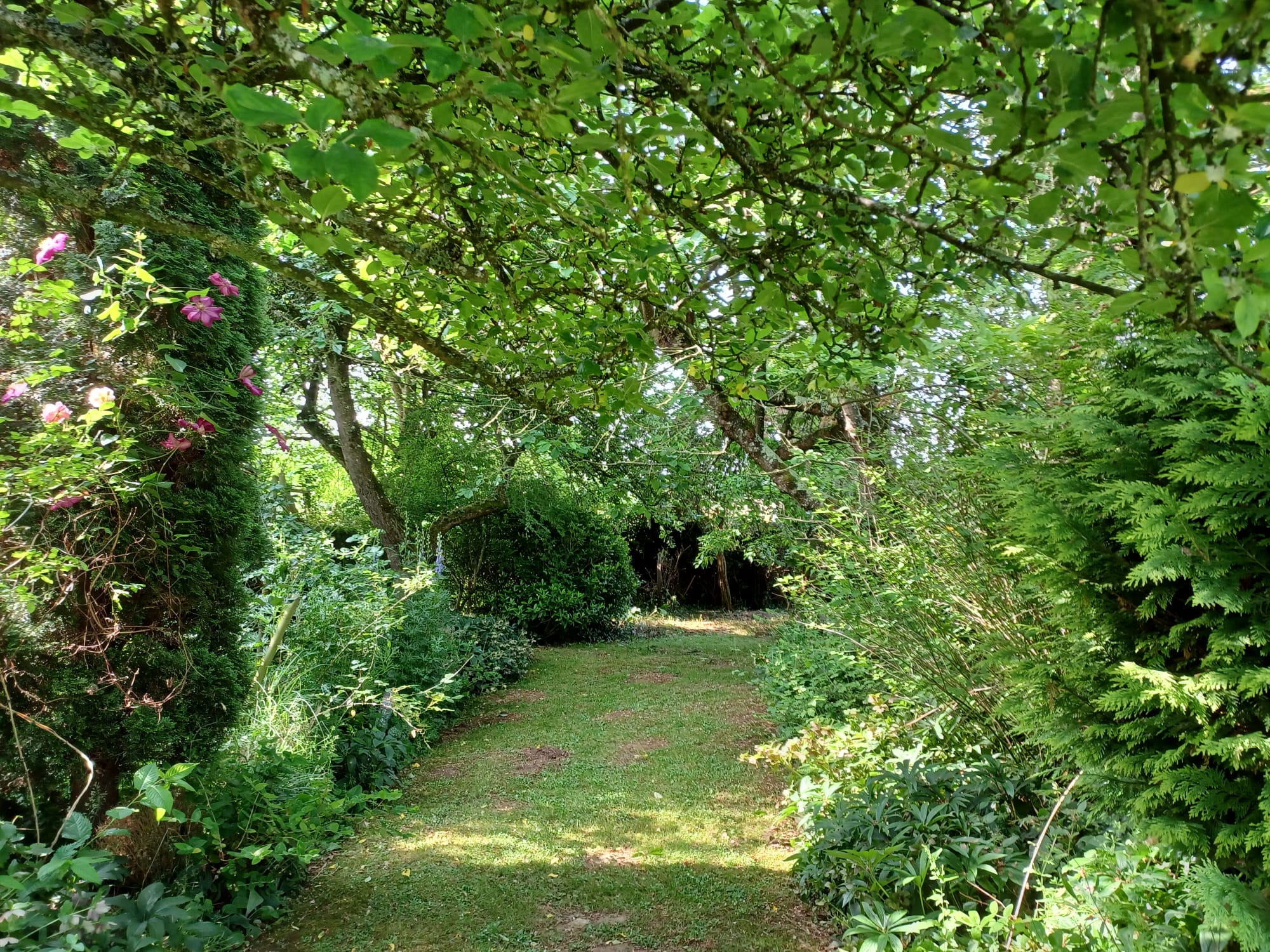 Nature house in Saint Denis de Villenette