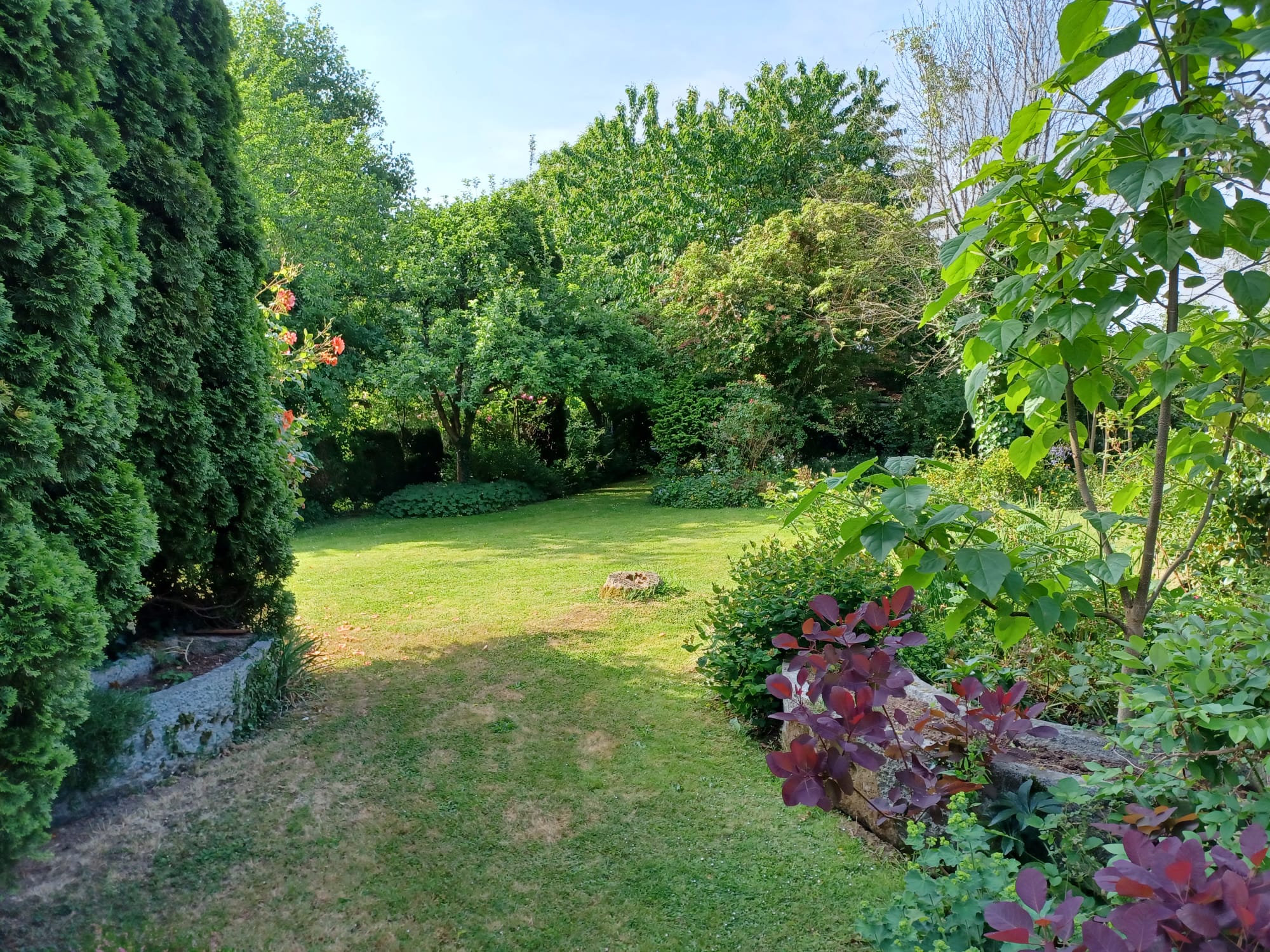 Nature house in Saint Denis de Villenette