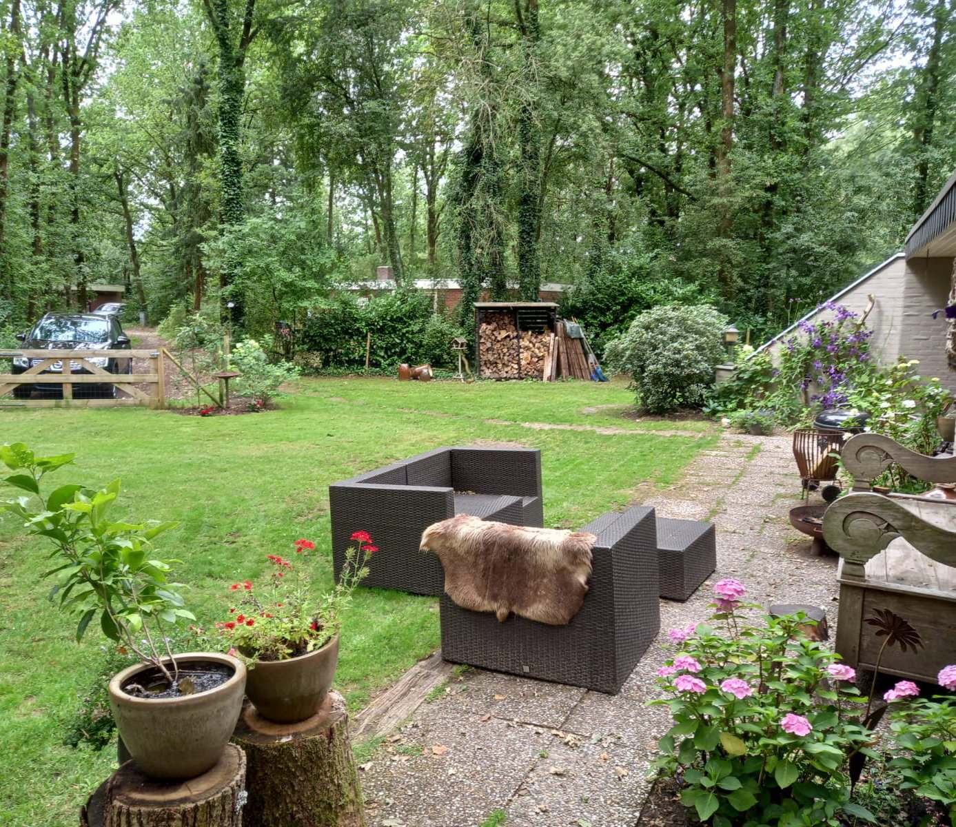 Natuurhuisje in Schoonoord