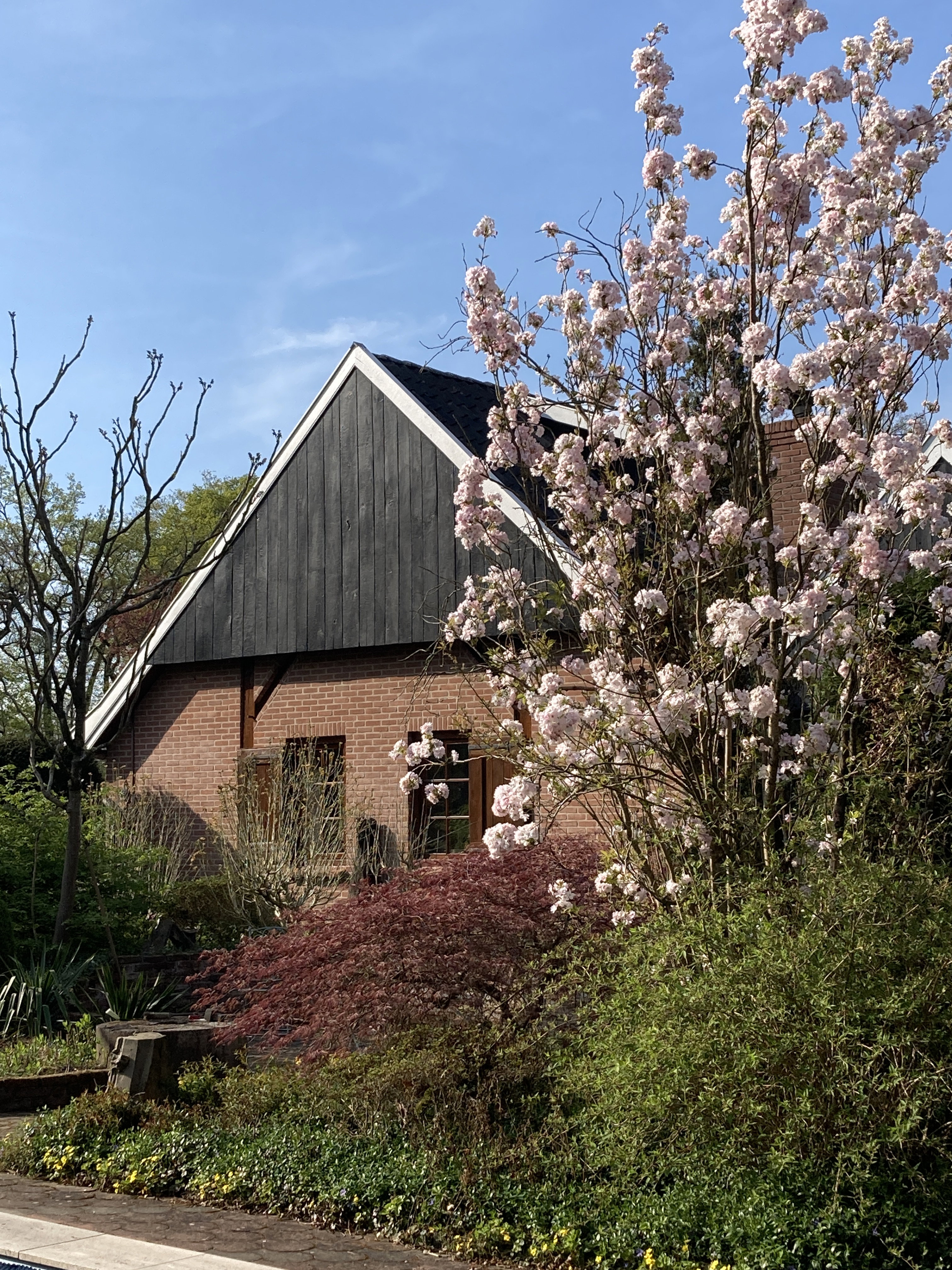 Casa nella natura a Winterswijk Woold