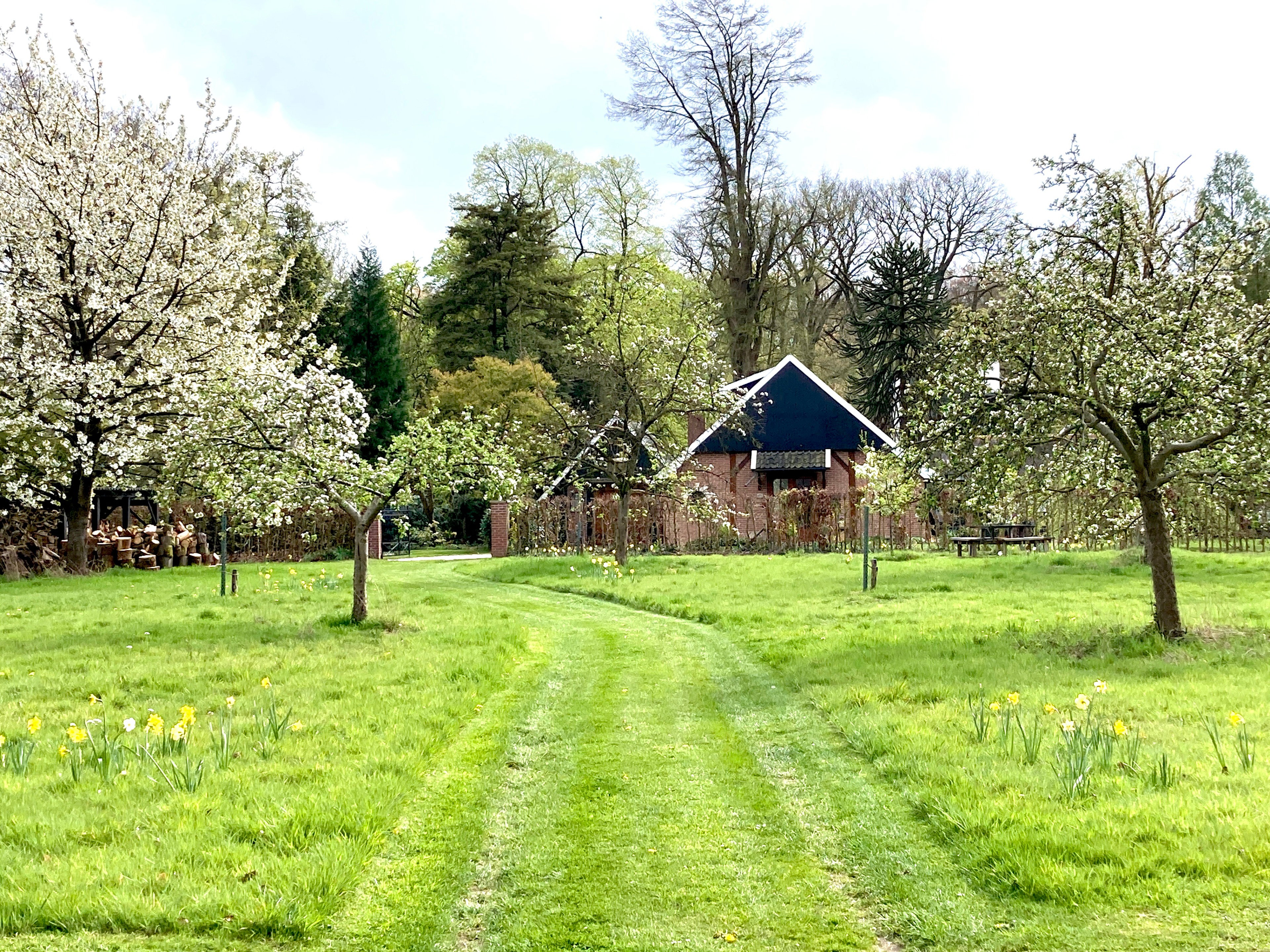 Casa nella natura a Winterswijk Woold