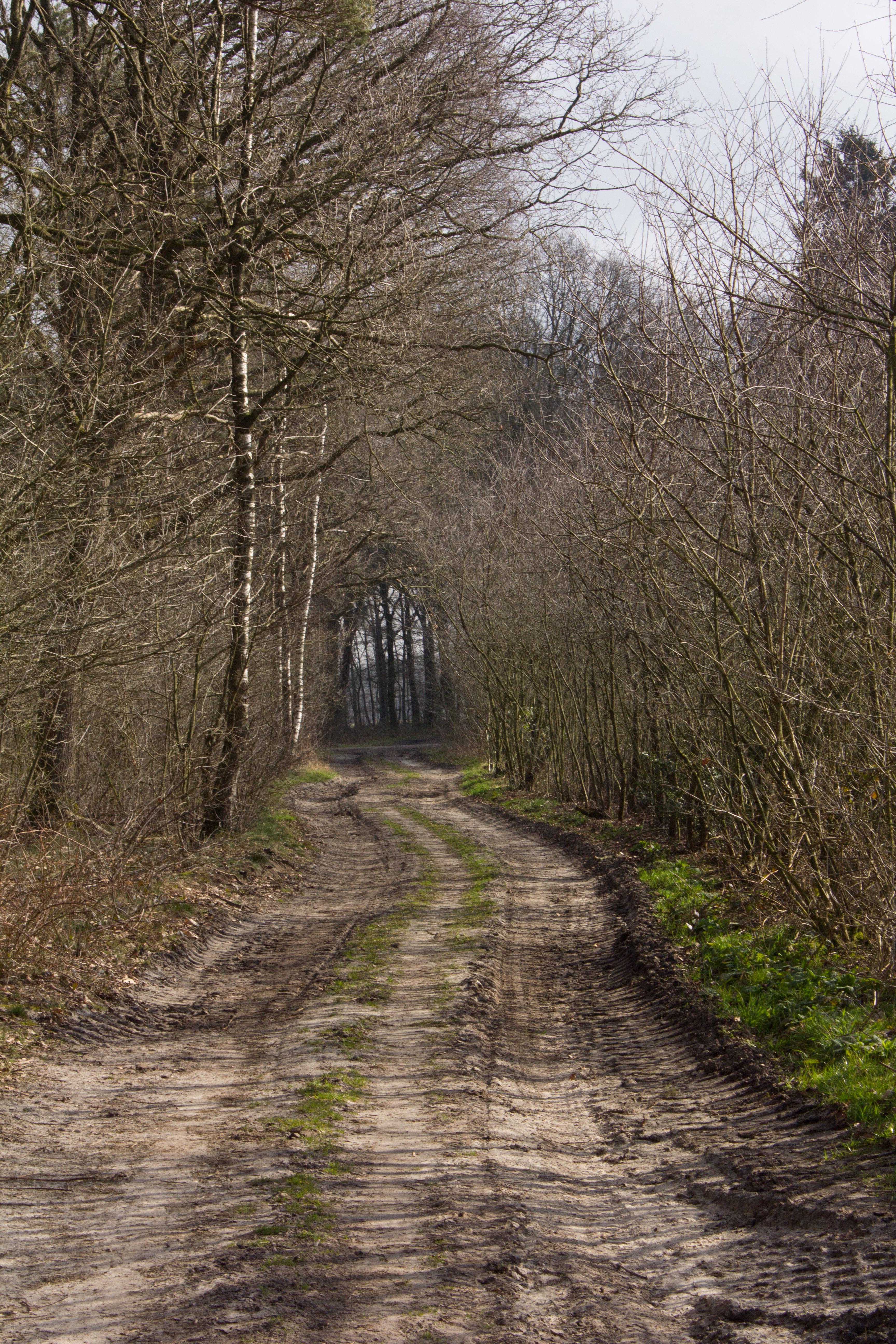 - image: 14