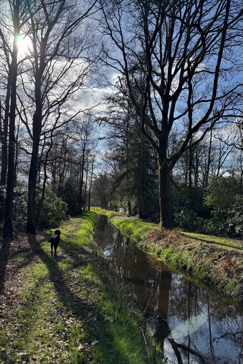 Casa nella natura a Lage Mierde
