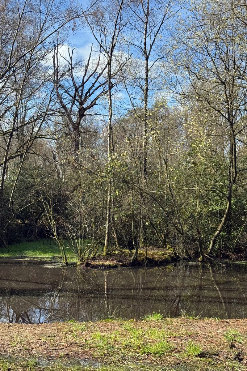 Casa nella natura a Lage Mierde