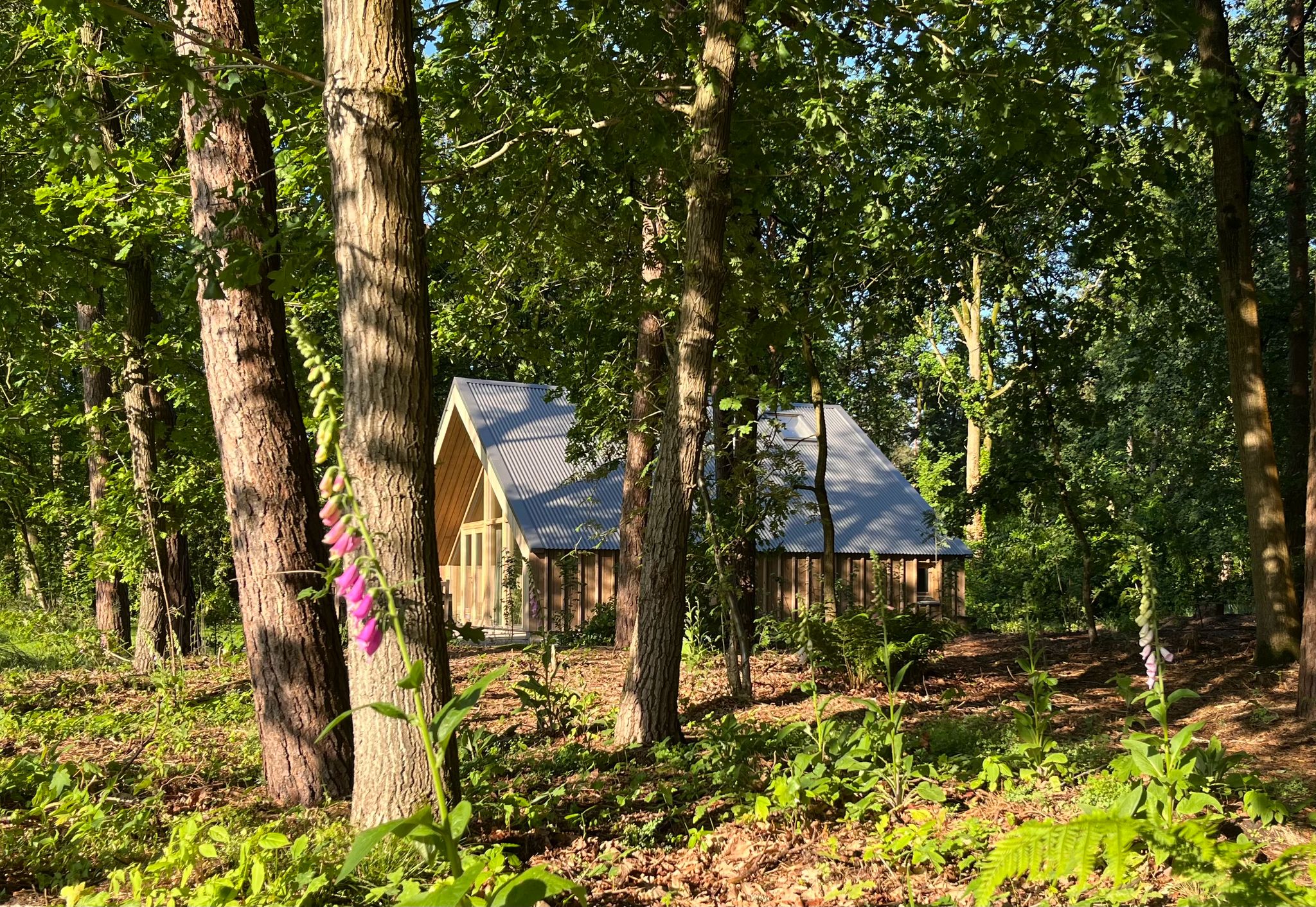 Naturhäuschen in Buurse