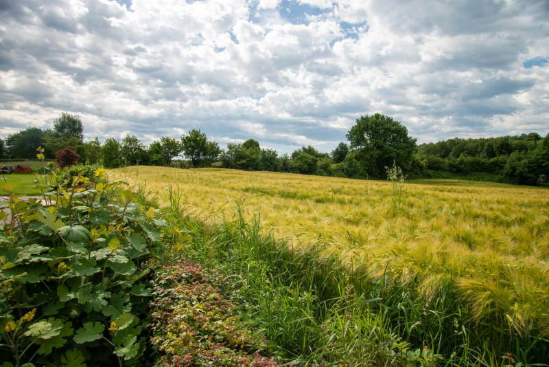 Natuurhuisje in Vijlen