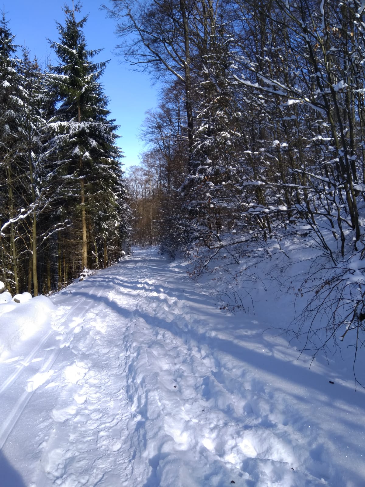 - image: 26
