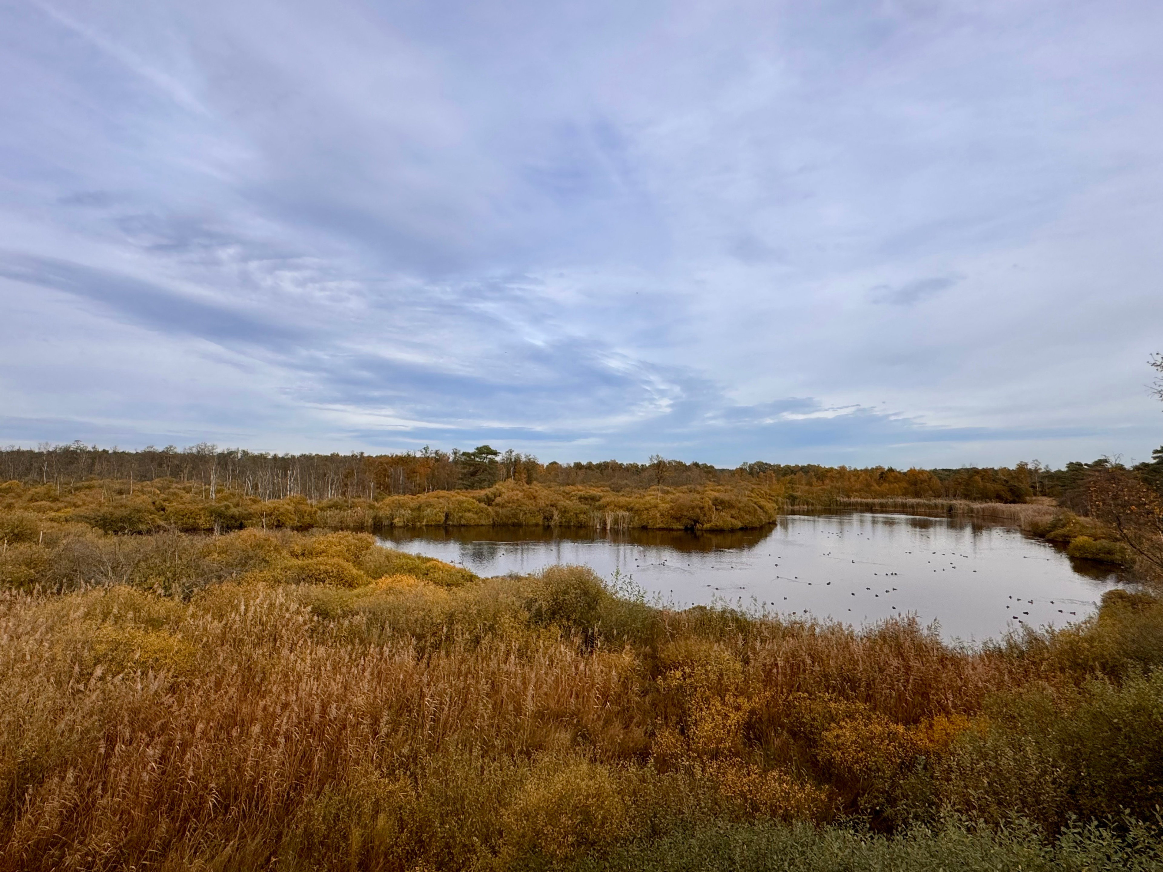 Casa nella natura a Oud-Turnhout