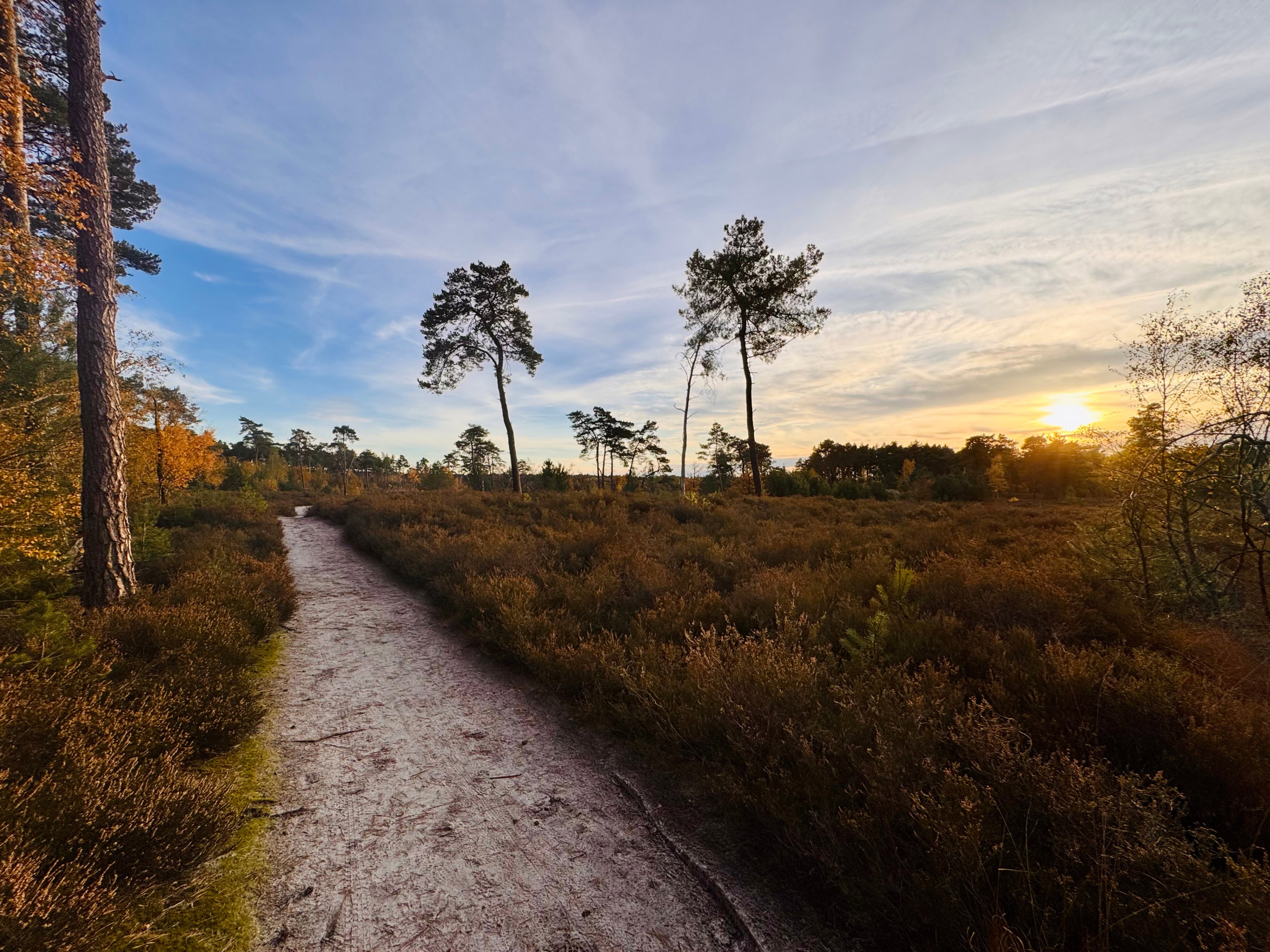 Casa nella natura a Oud-Turnhout