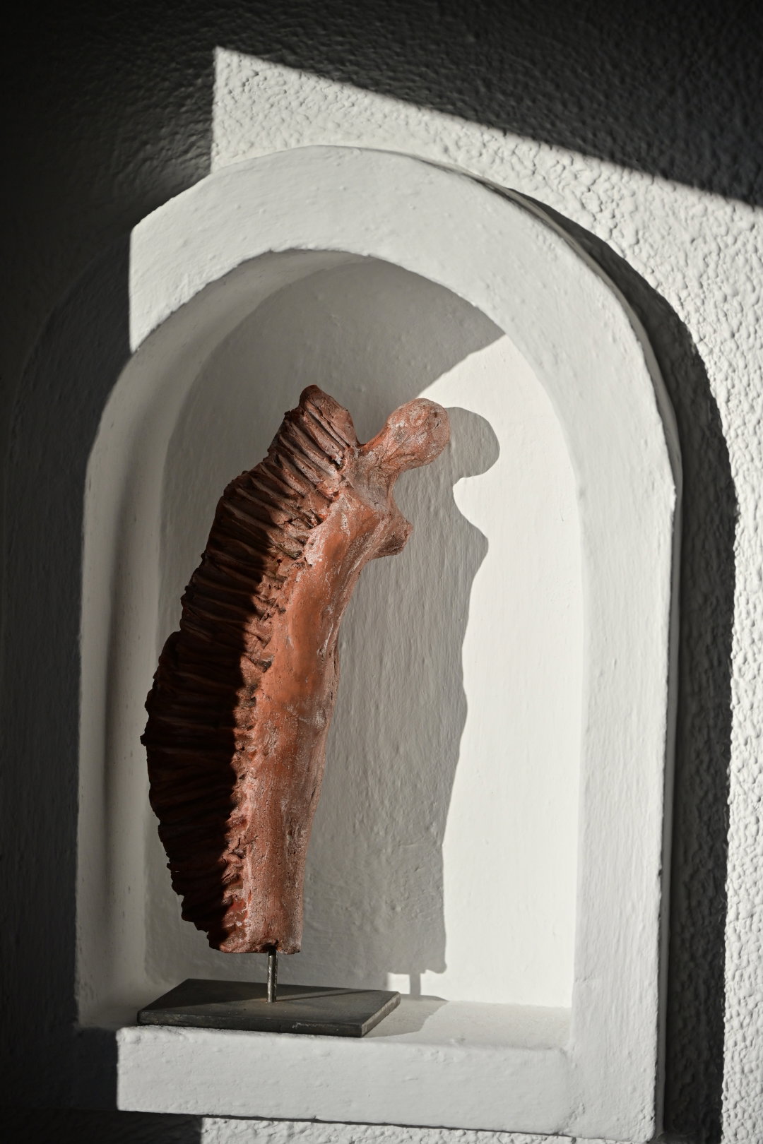 - image: 19