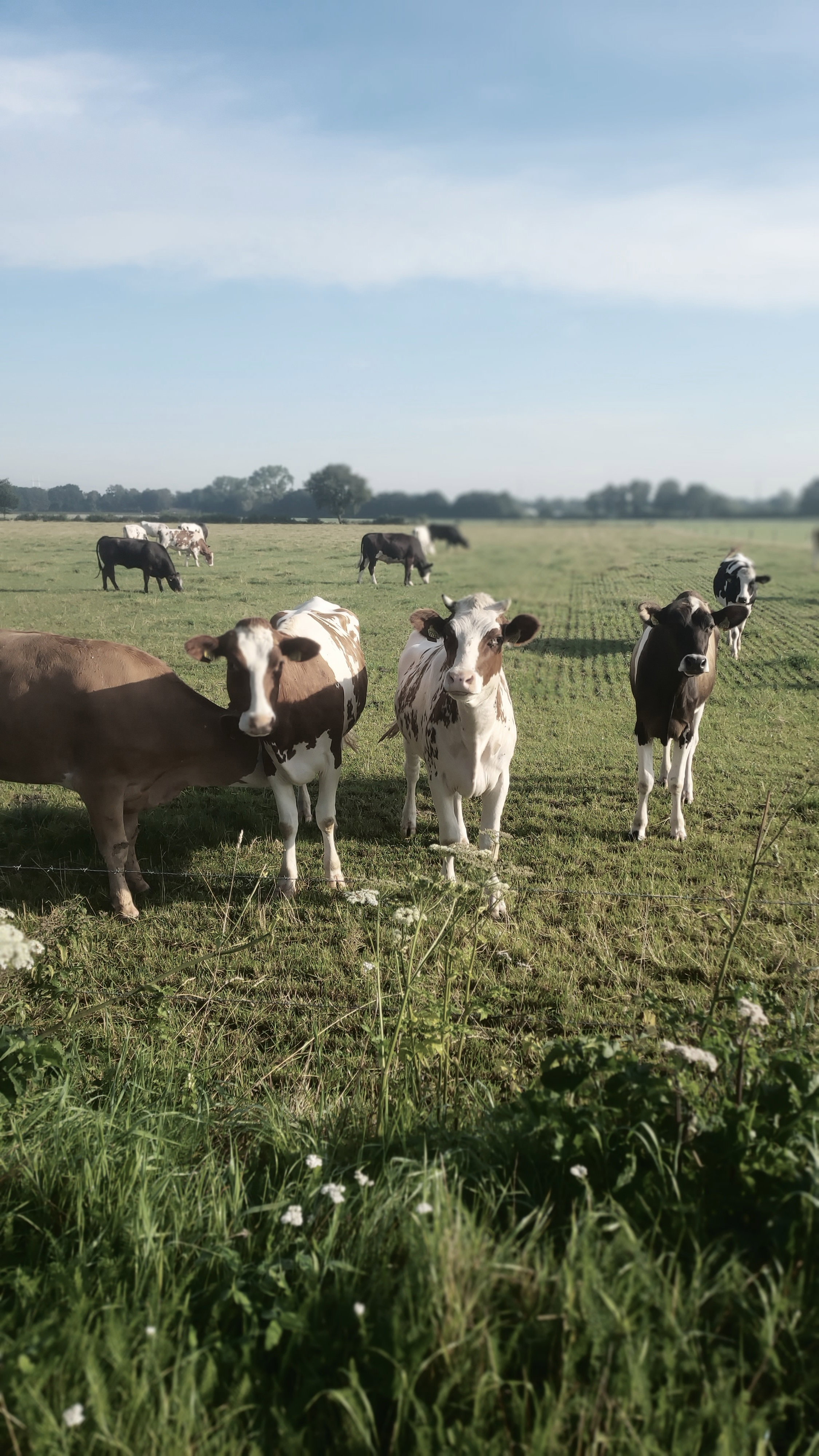 Natuurhuisje in Varsselder