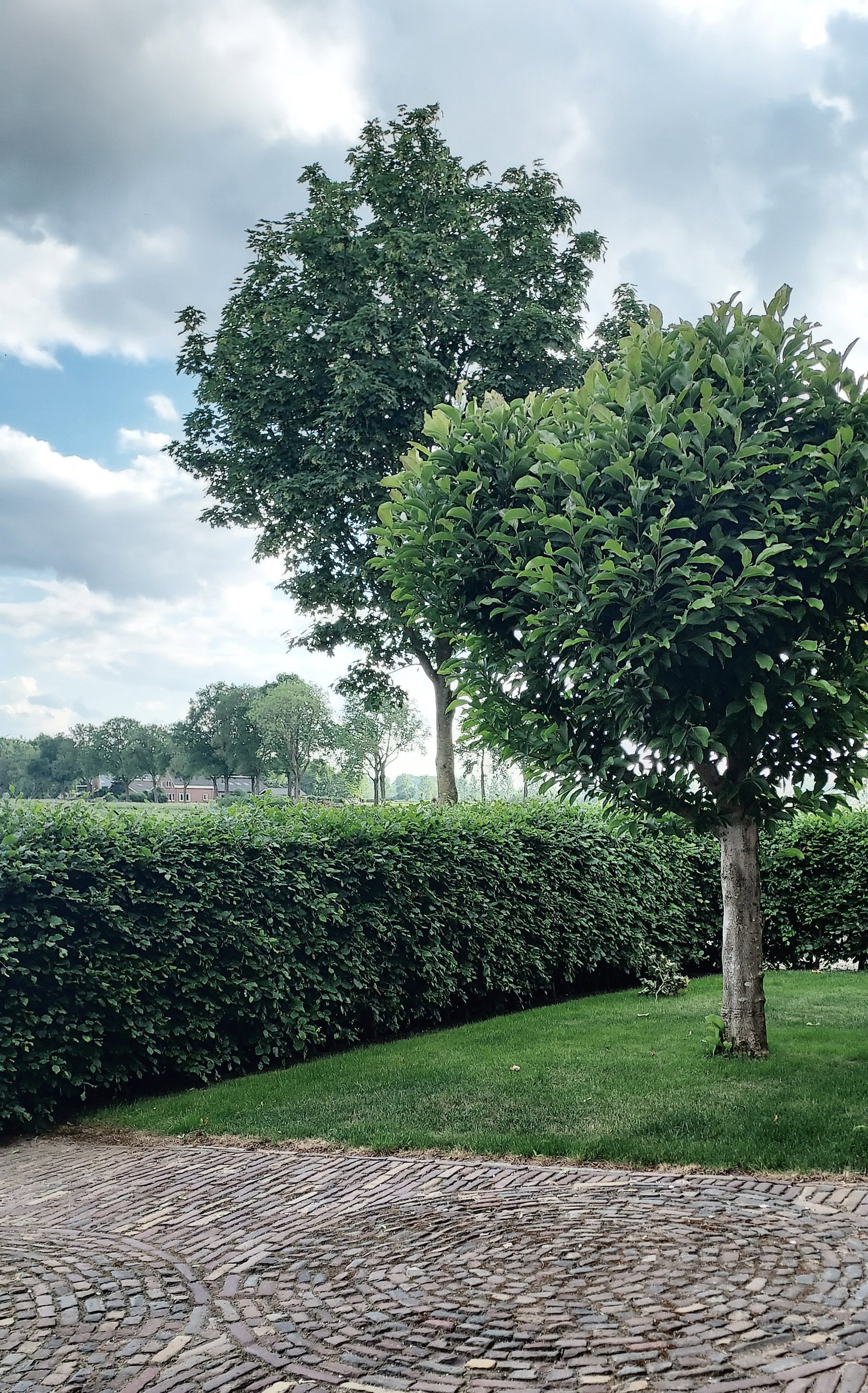 Natuurhuisje in Varsselder