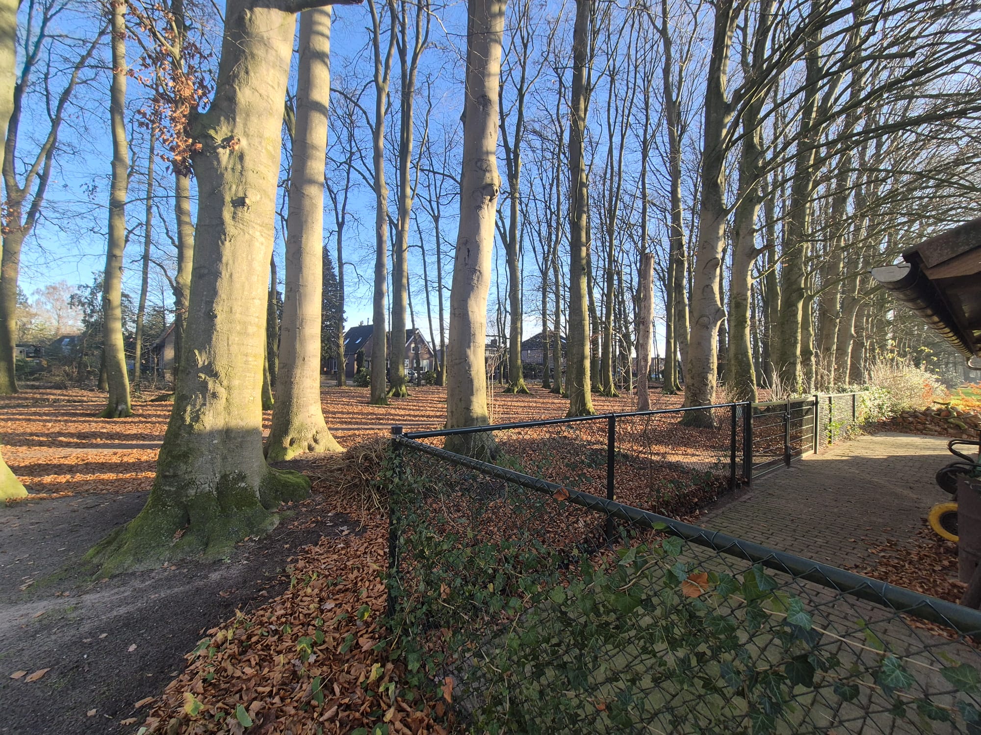 Naturhäuschen in Harskamp