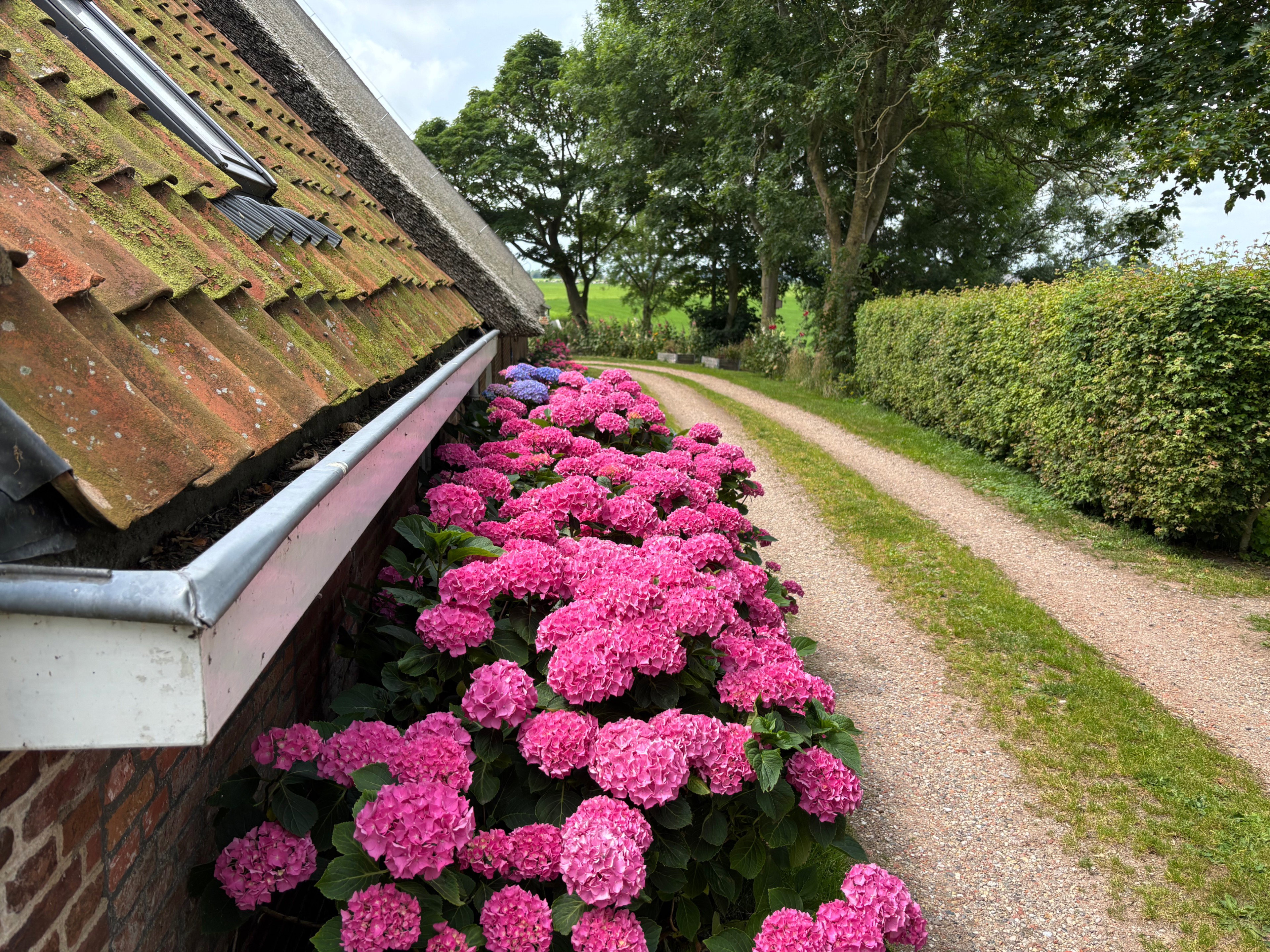 Natuurhuisje in Jannum