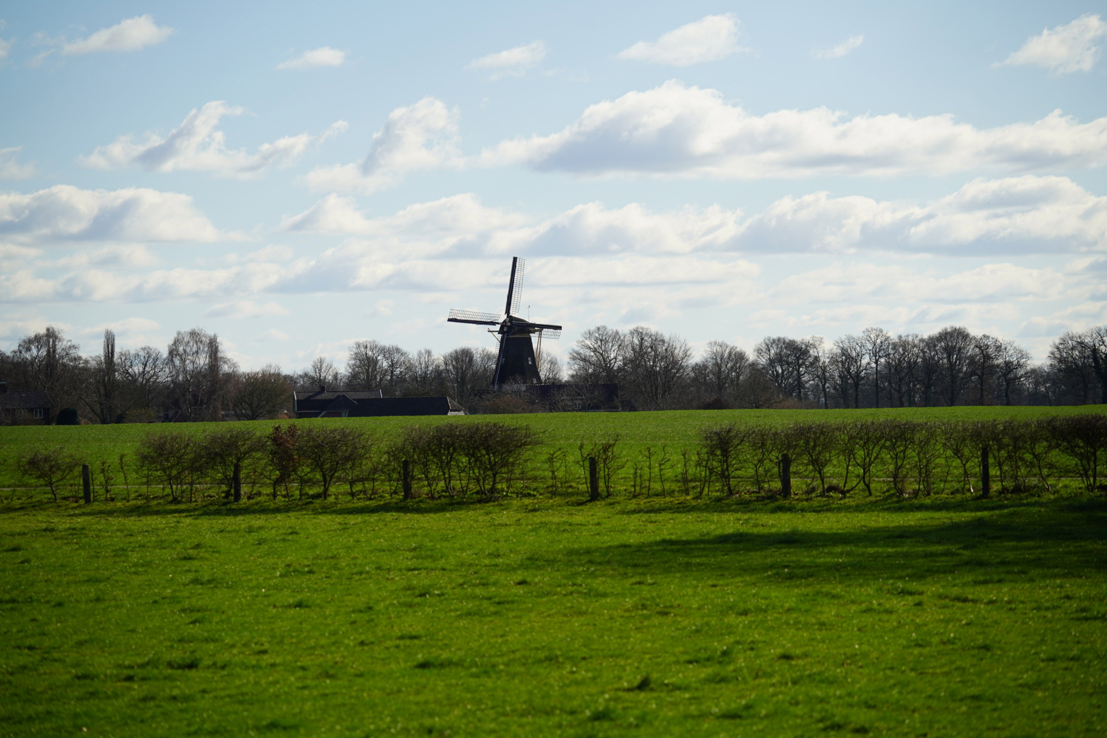 - image: 18