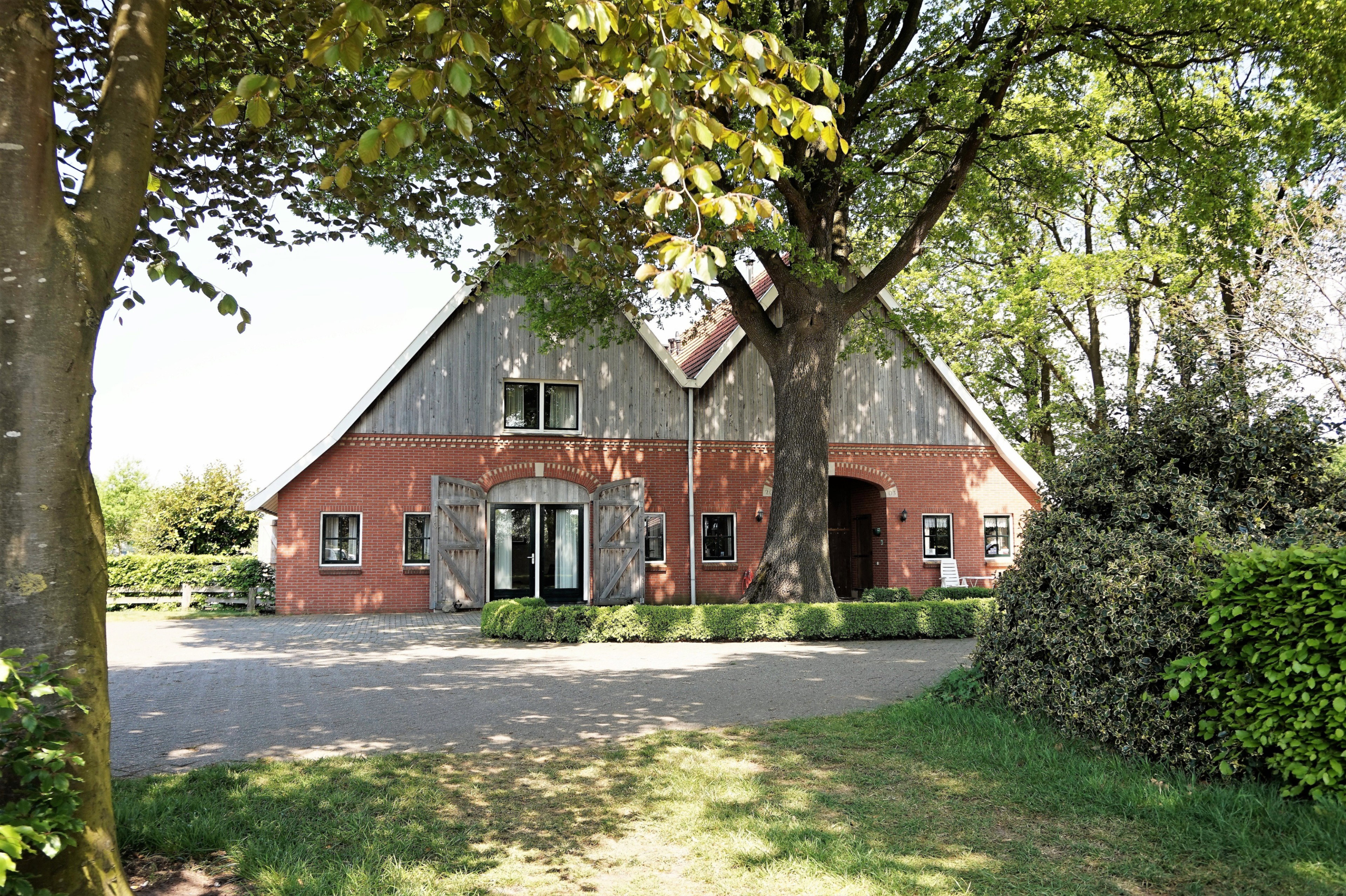 - image: 11