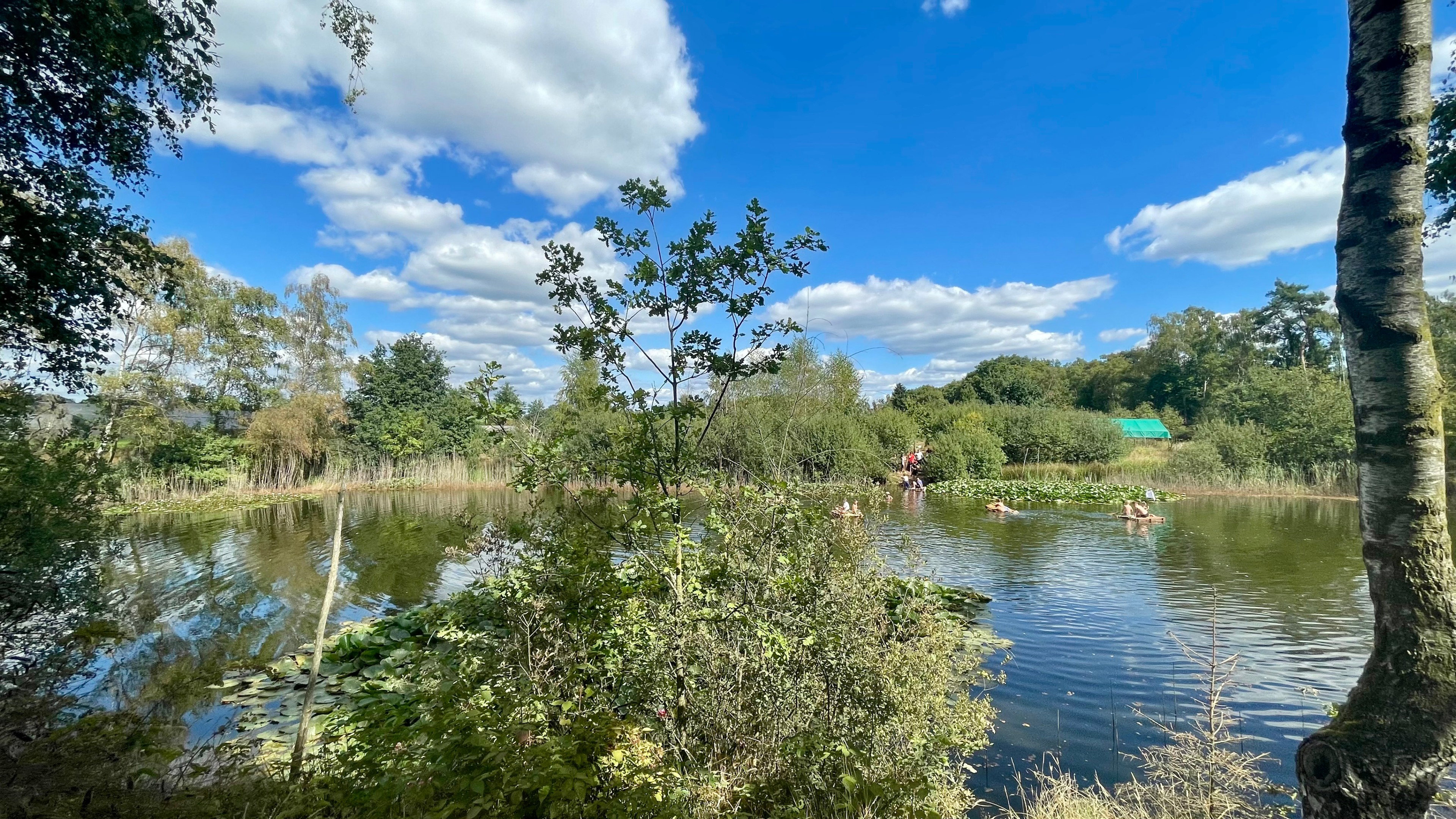 Casa nella natura a Nederweert