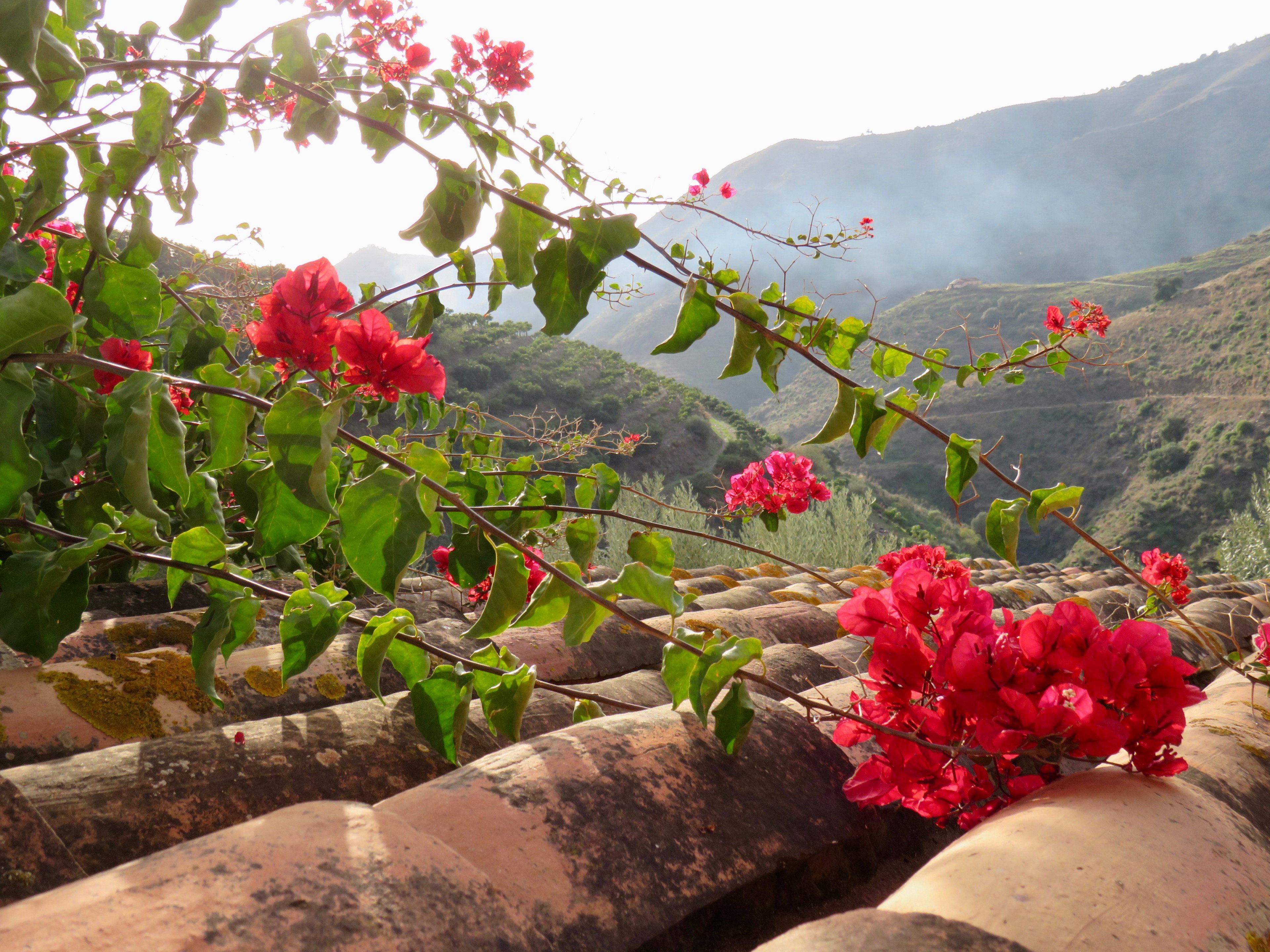 Casa nella natura a Torrox
