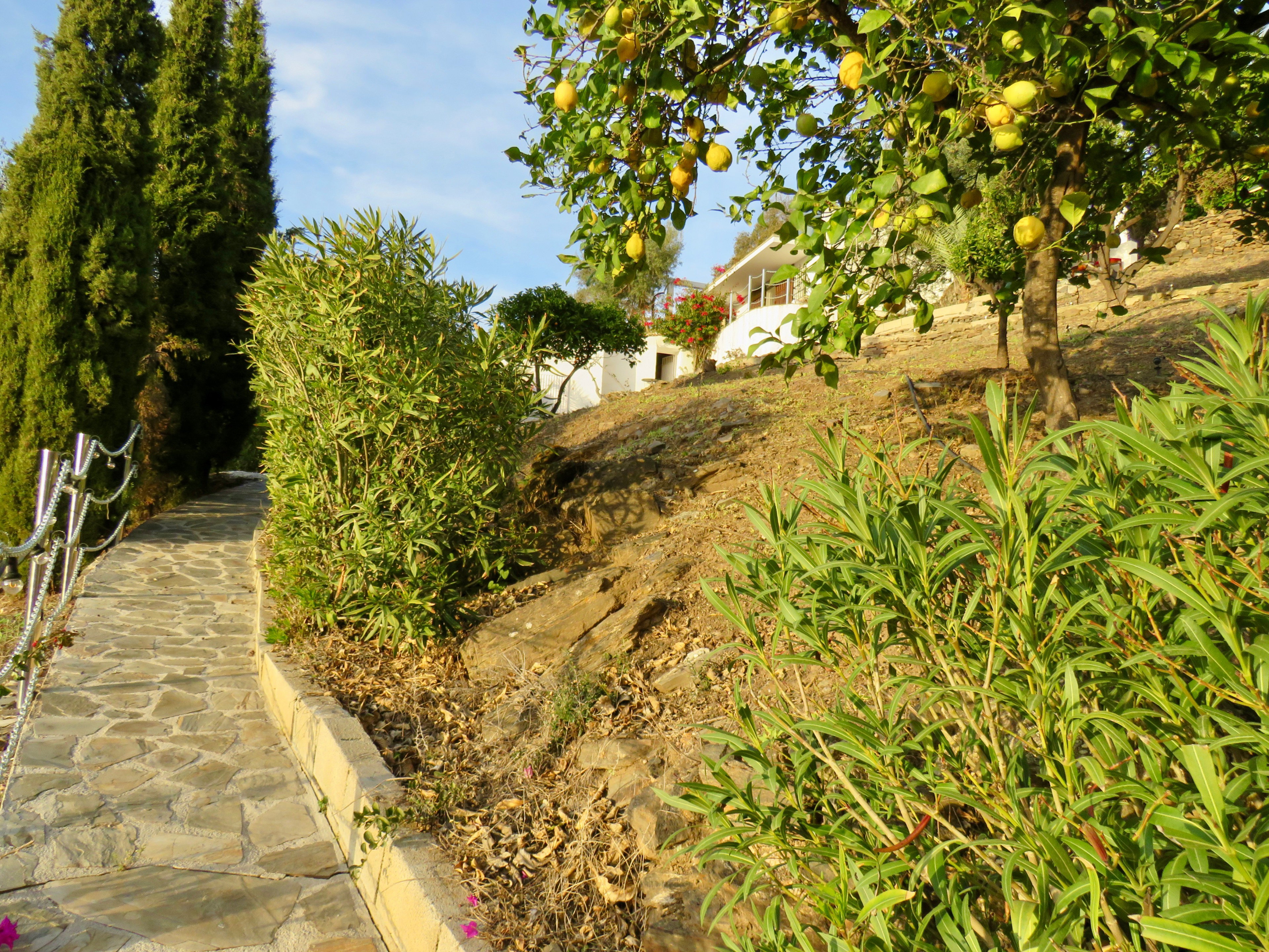 Casa nella natura a Torrox