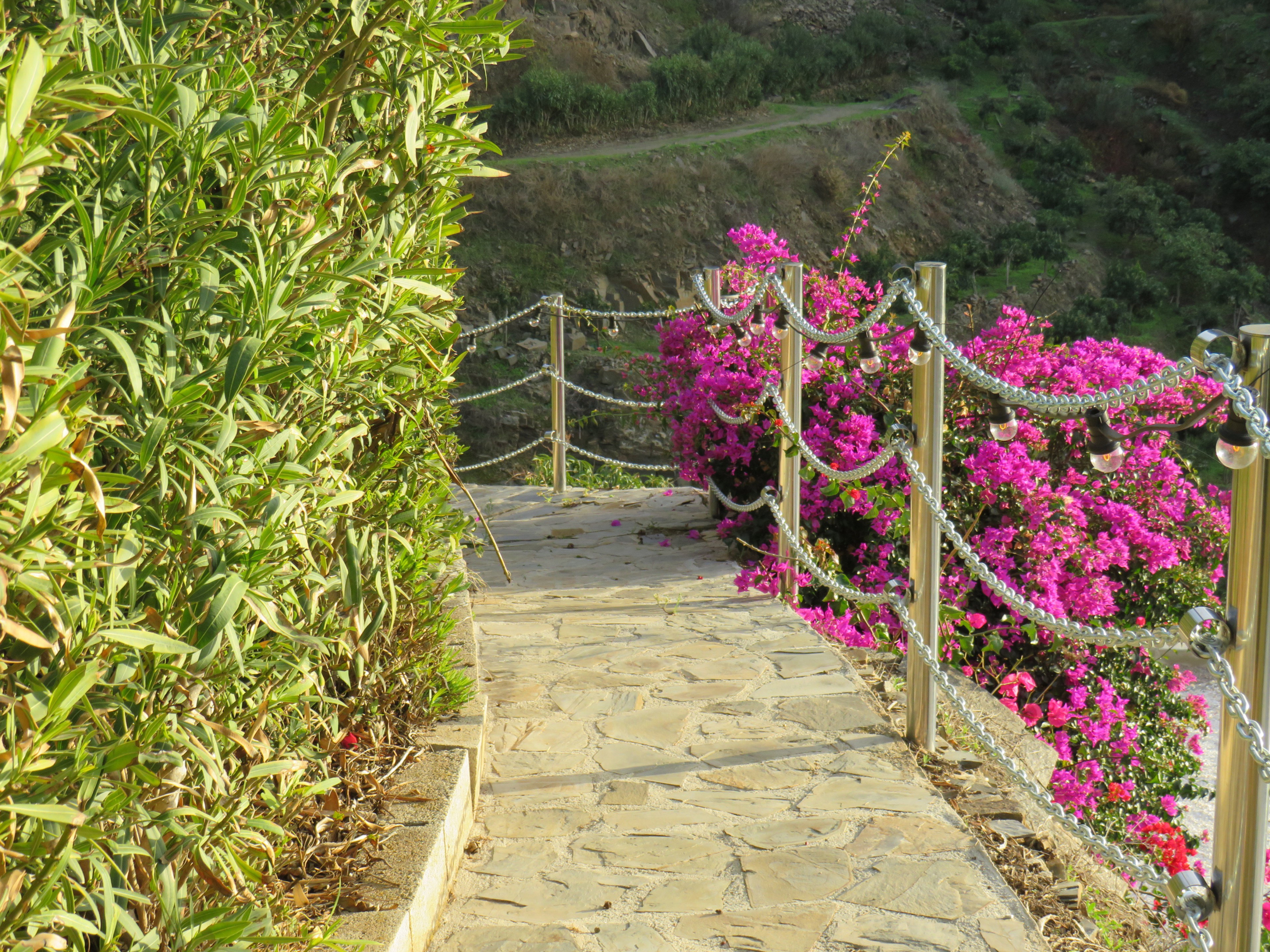 Casa nella natura a Torrox