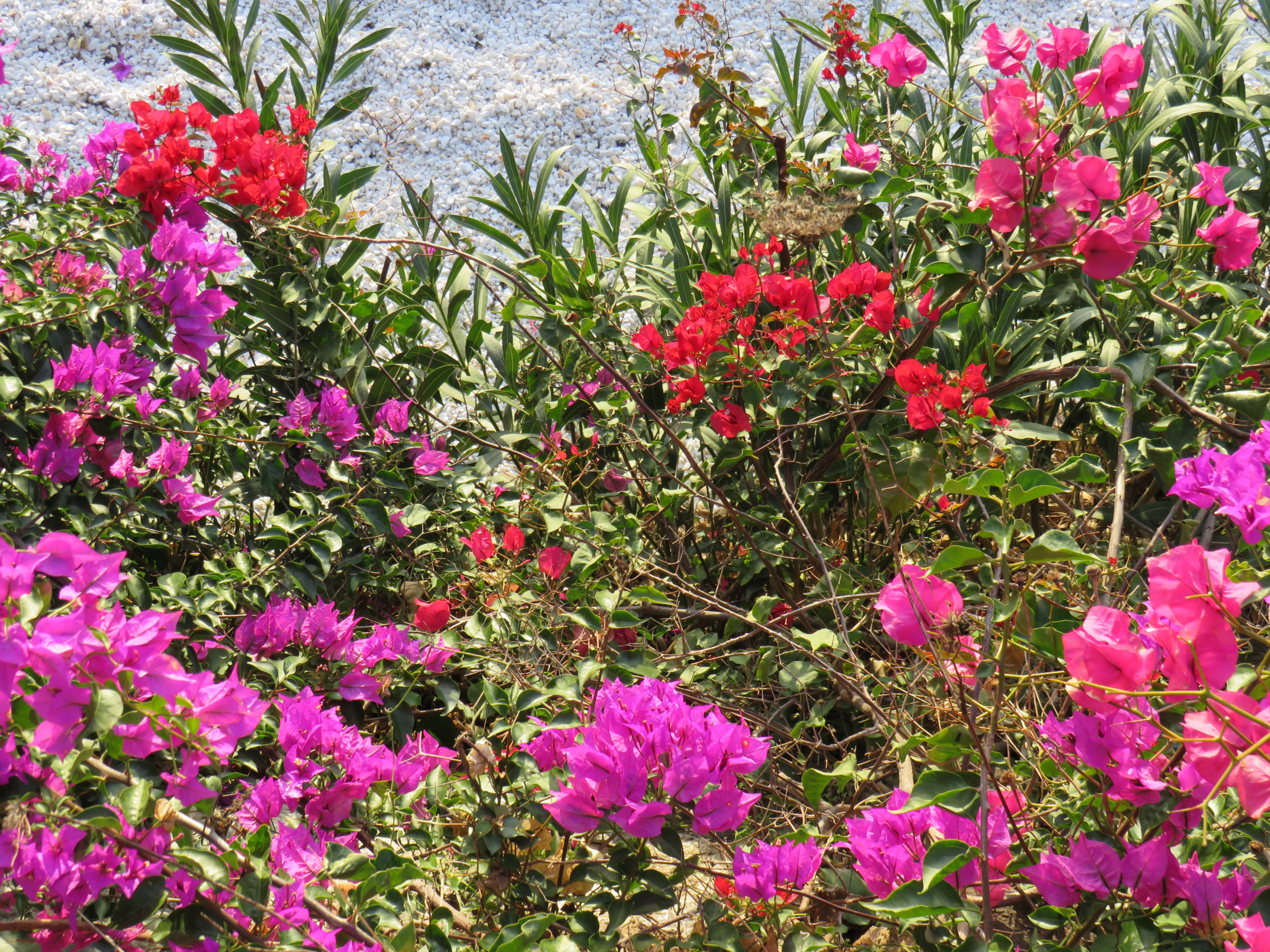 Casa nella natura a Torrox