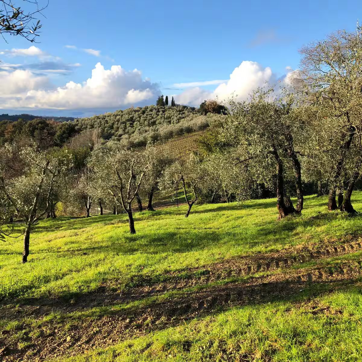 Casa nella natura a Montefiridolfi San Casciano in Val di Pesa